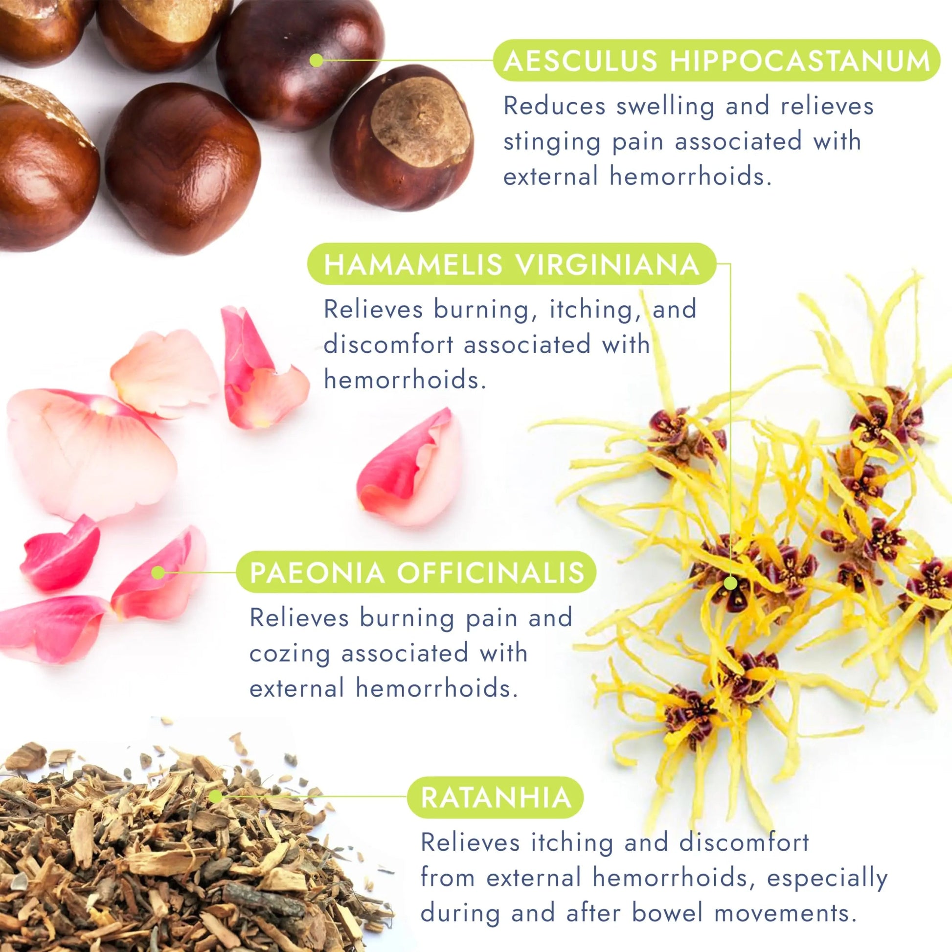 Hemorrhoid Treatment | Hemorrhoid Ointment | Hemorrhoid & Fissure Ointment | 7 Pre-Filled Applicators | Fast & Effective Relief | Reduces Swelling, Itching & Discomfort | Advanced Formula Terramed Just Think Comfort buy supplements canada