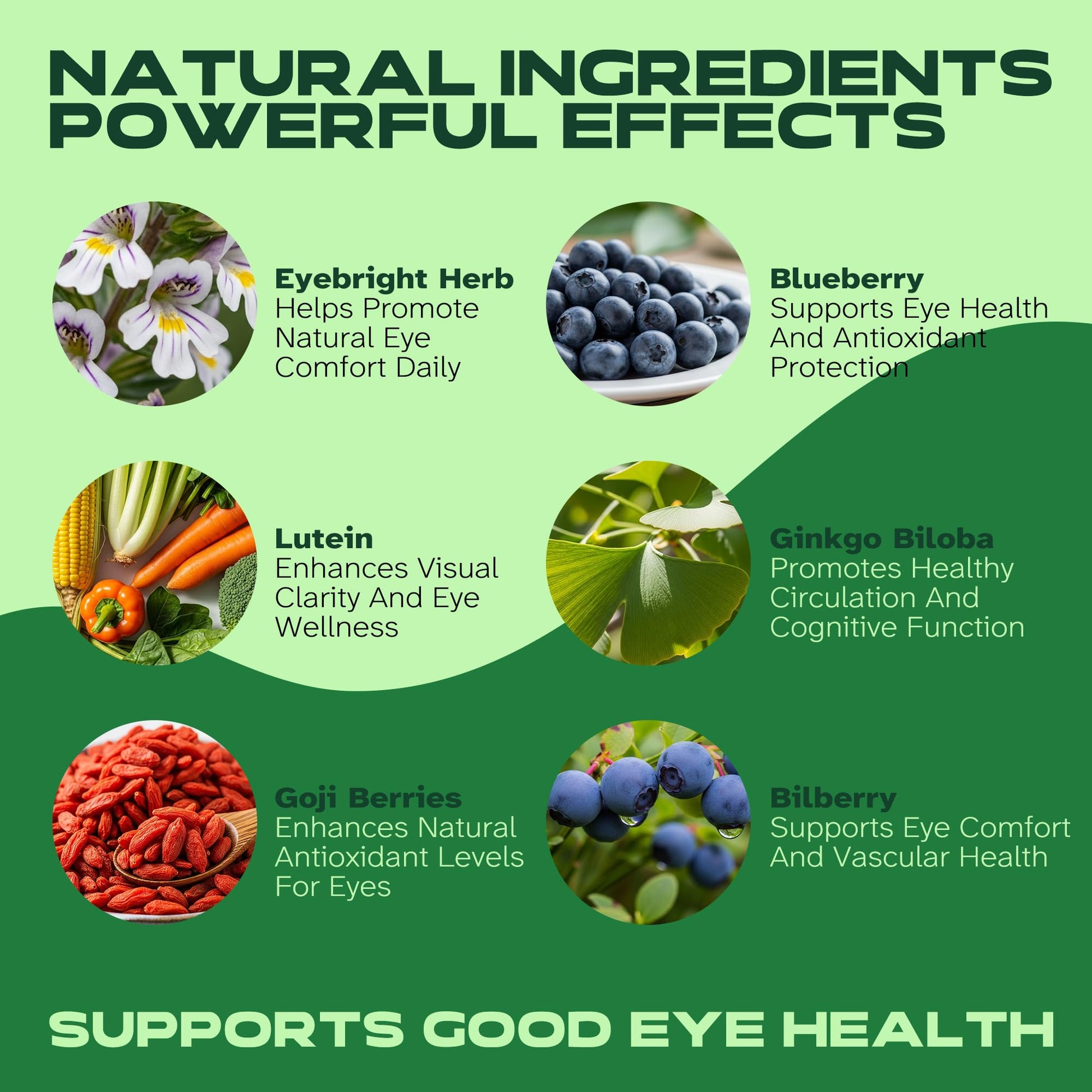 Vitalumina Eyebright Herbal Liquid with Organic Euphrasia, Lutein, Bilberry, Blueberry & Goji – Plant-Based Vegan Supplement for Adults – 4 fl oz Vitalumina buy supplements canada
