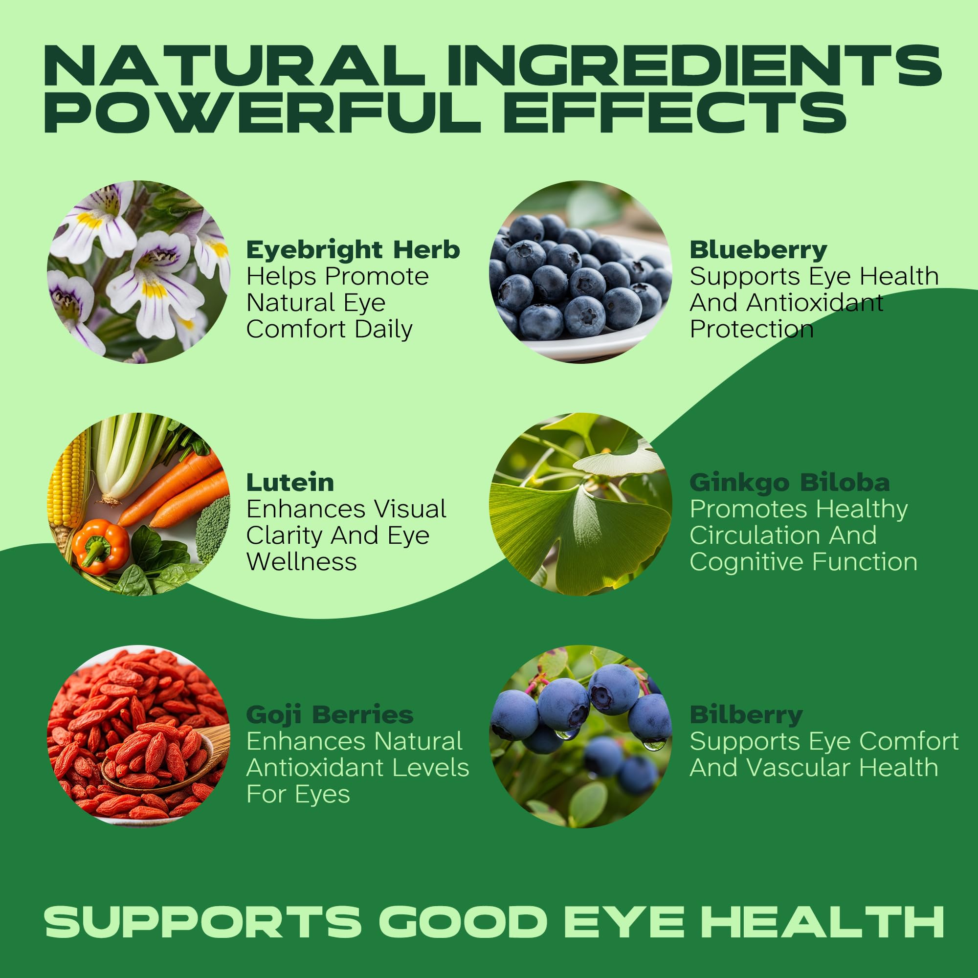 Vitalumina Eyebright Herbal Liquid with Organic Euphrasia, Lutein, Bilberry, Blueberry & Goji – Plant-Based Vegan Supplement for Adults – 4 fl oz Vitalumina buy supplements canada