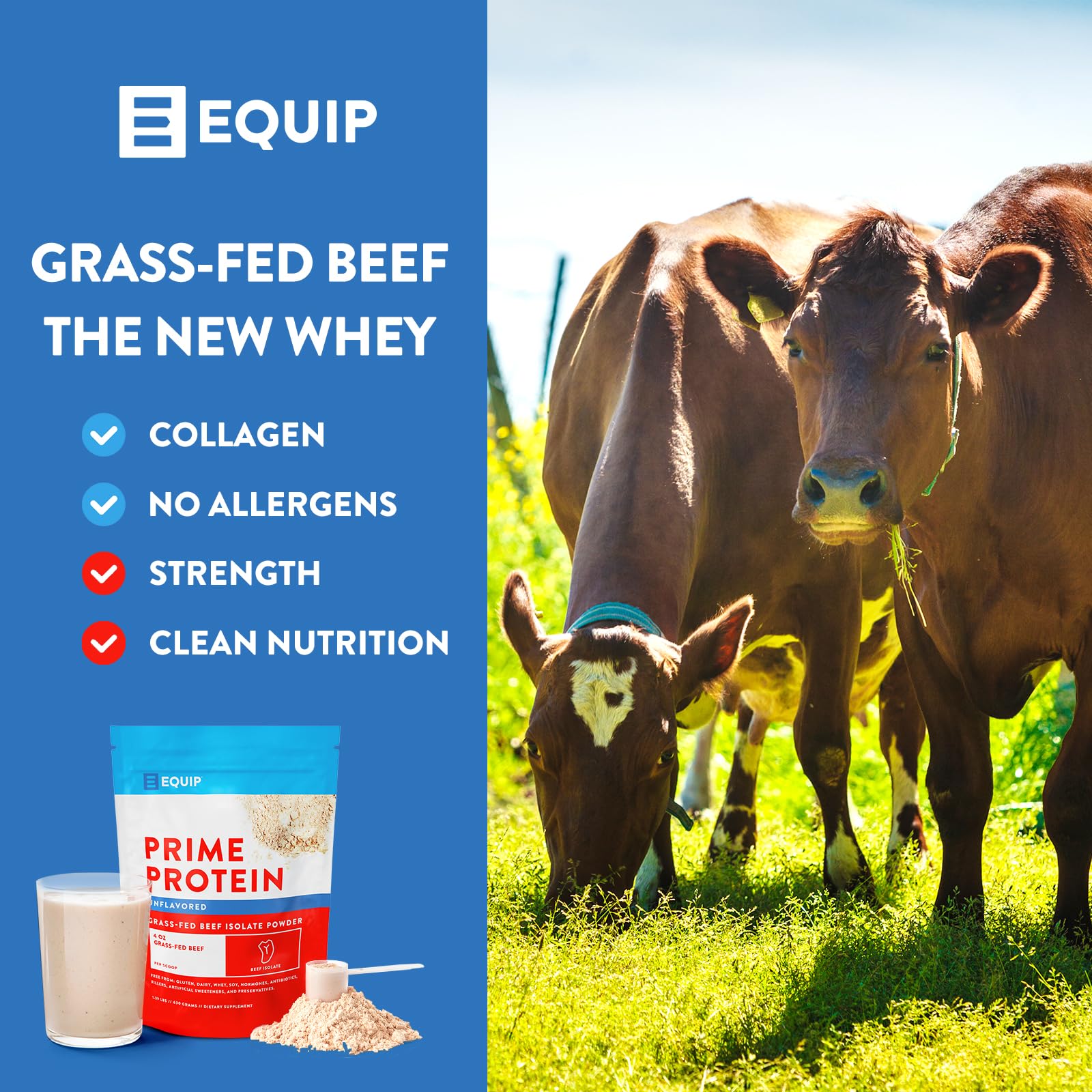 Equip Foods Prime Protein - Grass Fed Beef Protein Powder Isolate - Paleo and Keto Friendl Equip buy supplements canada