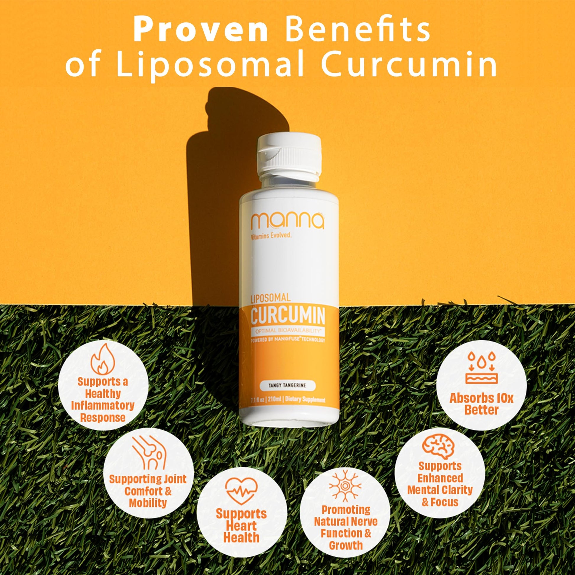 Manna Vitamins Evolved Liposomal Liquid Curcumin for Advanced Absorption Best Turmeric Supplement for Daily Joint & Immune Health Support - Vegan, Non-GMO, 95% Curcuminoids (1 Pack) Manna Vitamins Evolved buy supplements canada