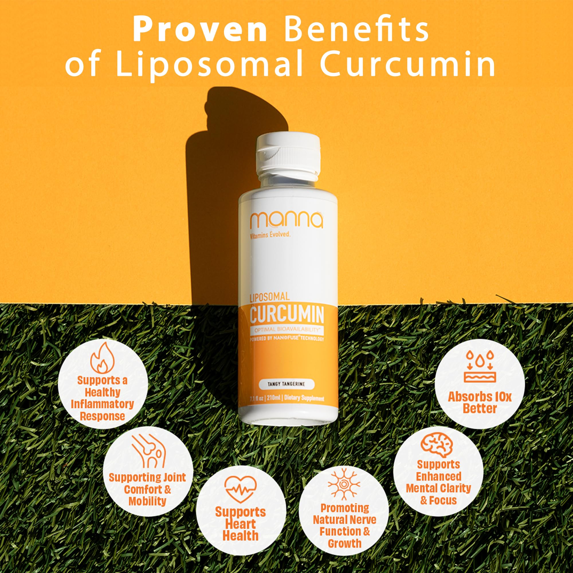 Manna Vitamins Evolved Liposomal Liquid Curcumin for Advanced Absorption Best Turmeric Supplement for Daily Joint & Immune Health Support - Vegan, Non-GMO, 95% Curcuminoids (1 Pack) Manna Vitamins Evolved buy supplements canada