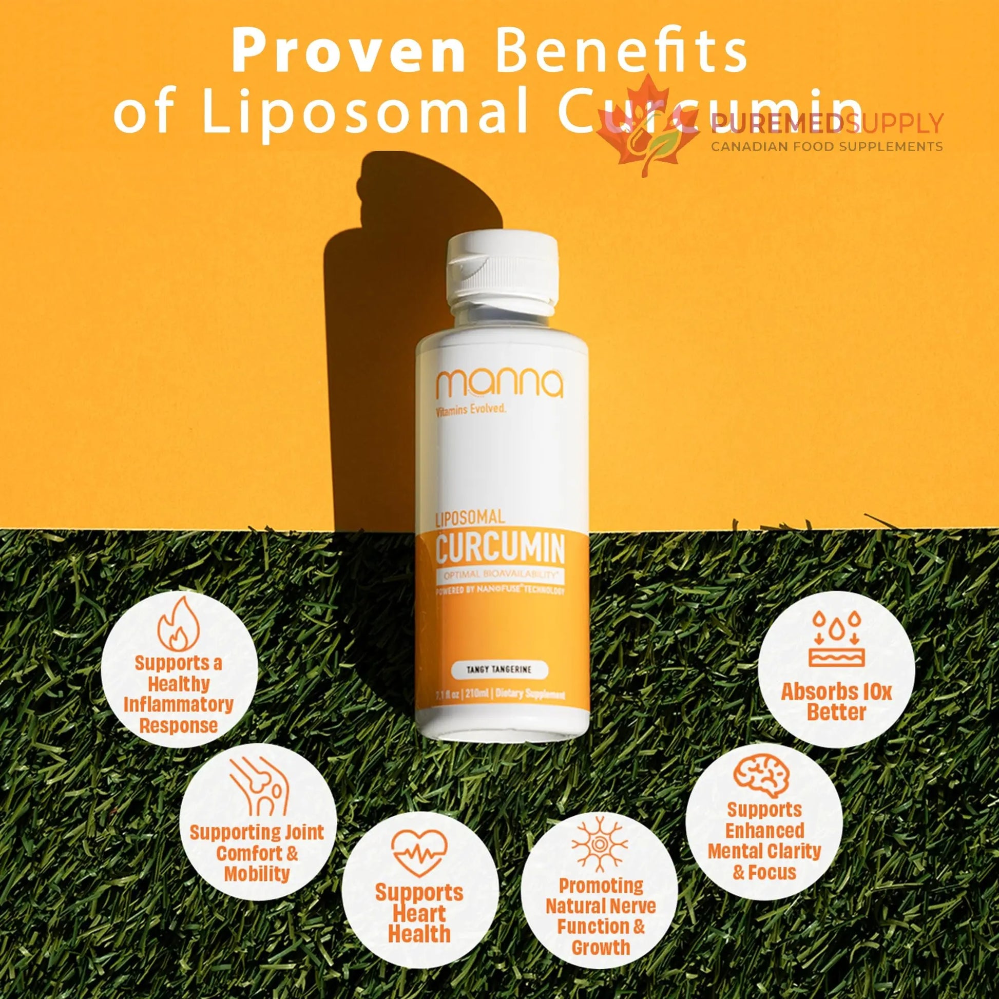 Manna Vitamins Evolved Liposomal Liquid Curcumin for Advanced Absorption Best Turmeric Supplement for Daily Joint & Immune Health Support - Vegan, Non-GMO, 95% Curcuminoids (1 Pack) Manna Vitamins Evolved buy supplements canada