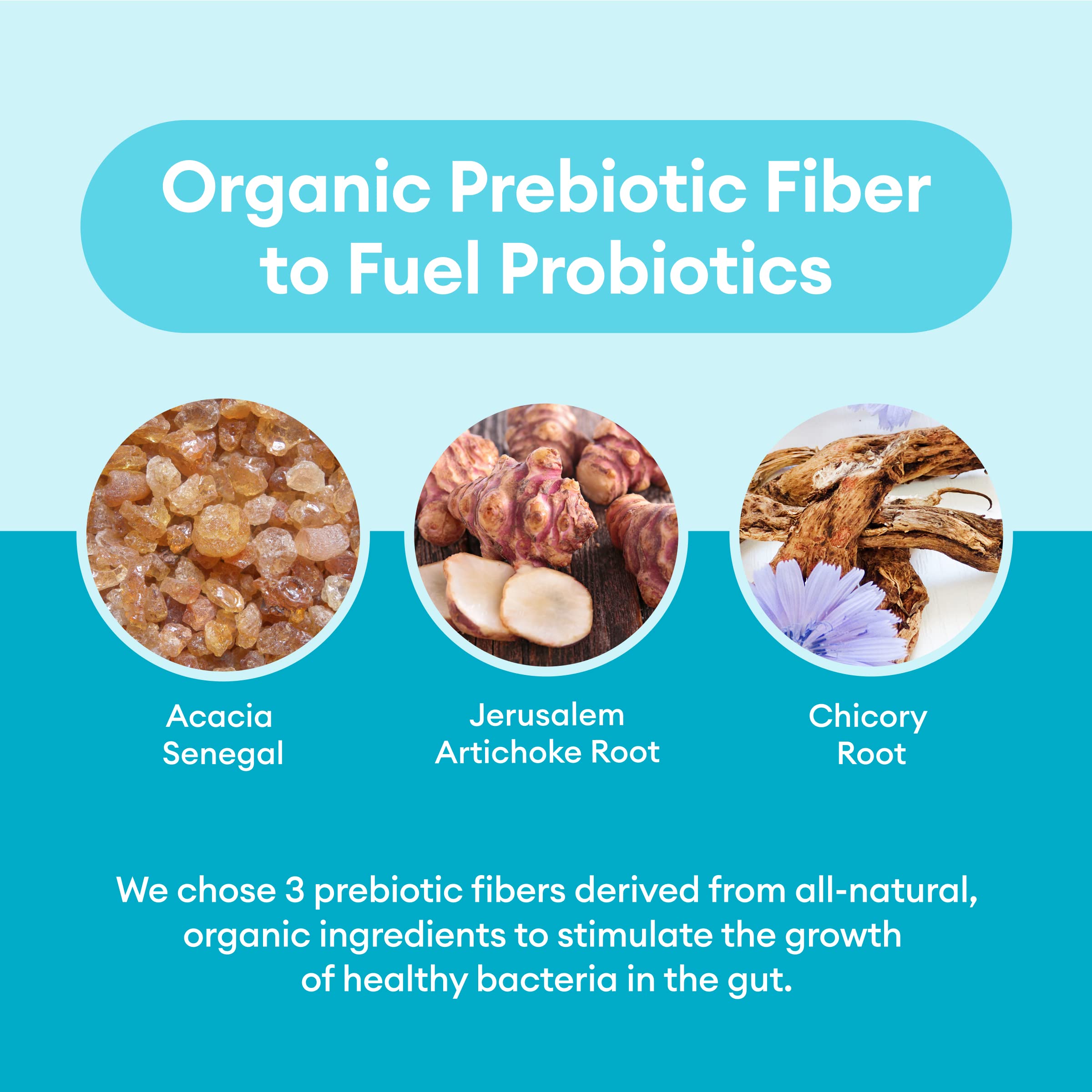 Physician's CHOICE Probiotics 60 Billion CFU - 10 Strains + Organic, 60ct Physician's CHOICE buy supplements canada