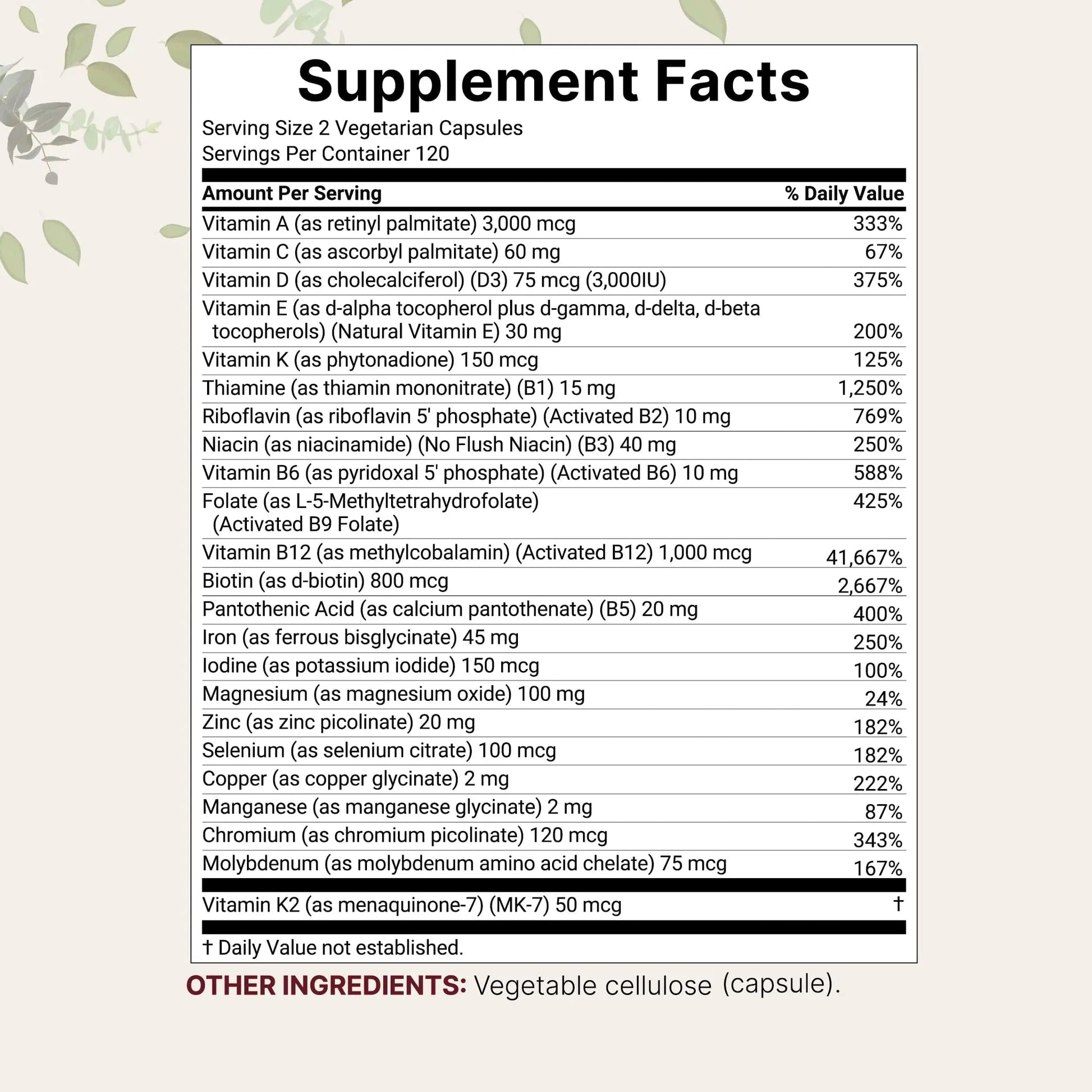 Micro Ingredients Methylated Bariatric Multivitamin with 45mg Iron, 240 Veggie Capsules | 23-in-1 Essential Vitamins with D3, K2, Zinc & More | Micro Ingredients buy supplements canada