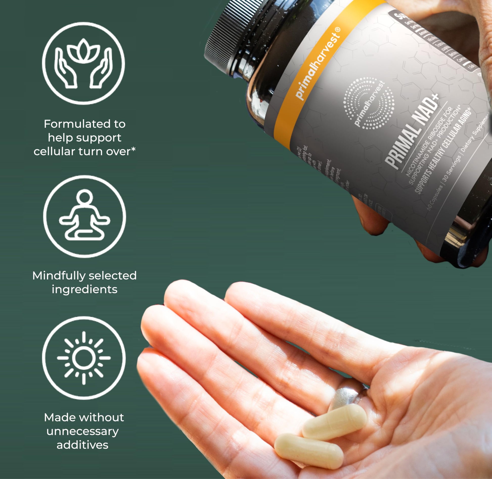Primal Harvest NAD+ Supplement: Nicotinamide Riboside, Trans-Resveratrol, Betaine, CoQ10, NAD Supplements for Cellular Health, Energy, and Mitochondrial Support Primal Harvest buy supplements canada