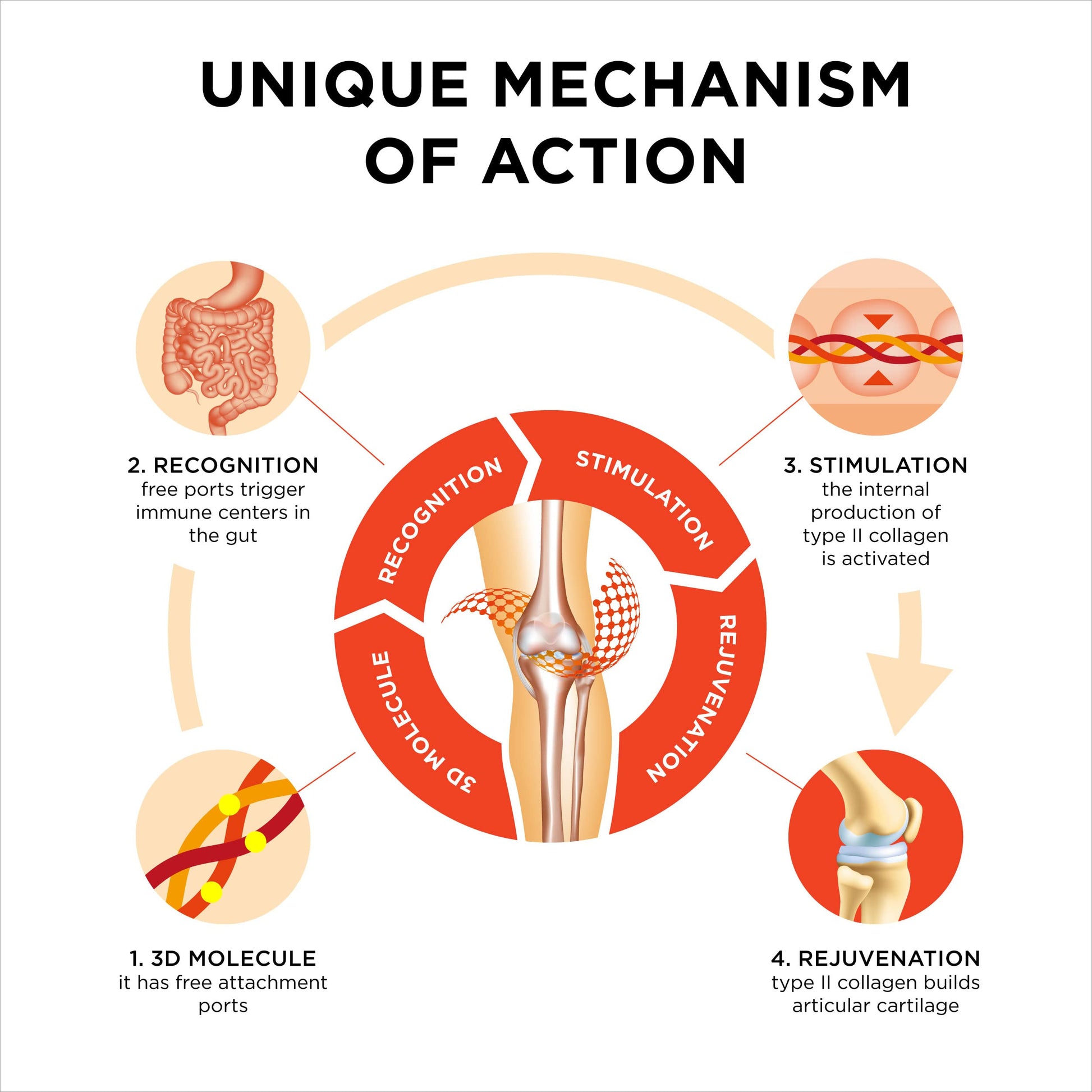 Innovation in The Care of Healthy Joints – Liquid Formula in a Double Capsule. 3D Collagen + Micelle Extract of Turmeric Roots 1 Capsule/Day. Laboratory Tested Collanol buy supplements canada