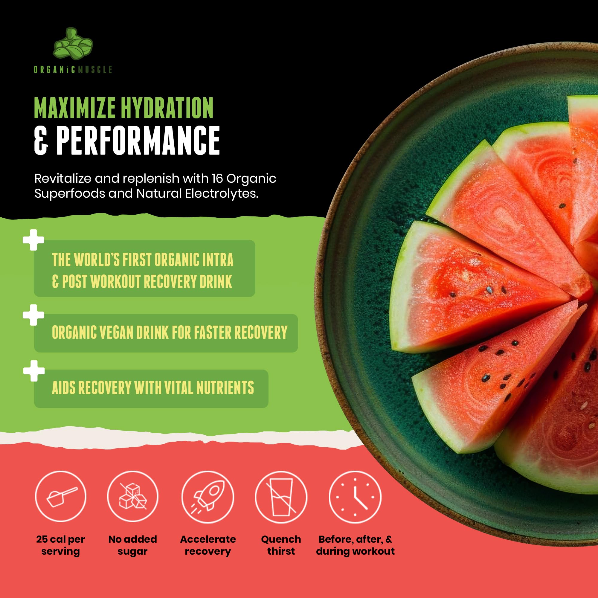 Organic Muscle Hydrator | Natural Electrolyte Powder for Peak Performance & Recovery - Watermelon Flavor, 20 Servings Organic Muscle buy supplements canada