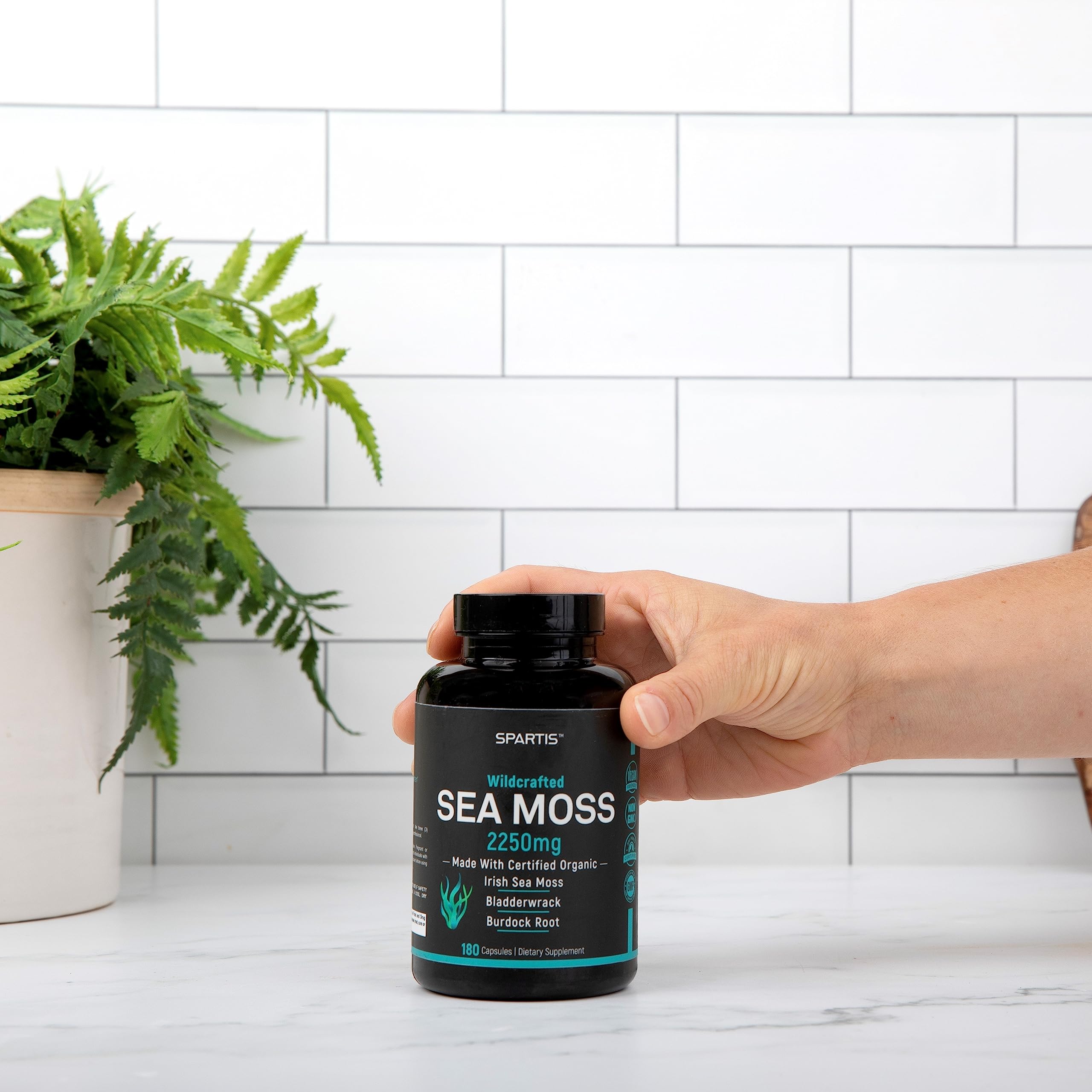 Certified Organic Sea Moss Capsules 2250mg Wildcrafted Irish Sea Moss Burdock Root SPARTIS buy supplements canada