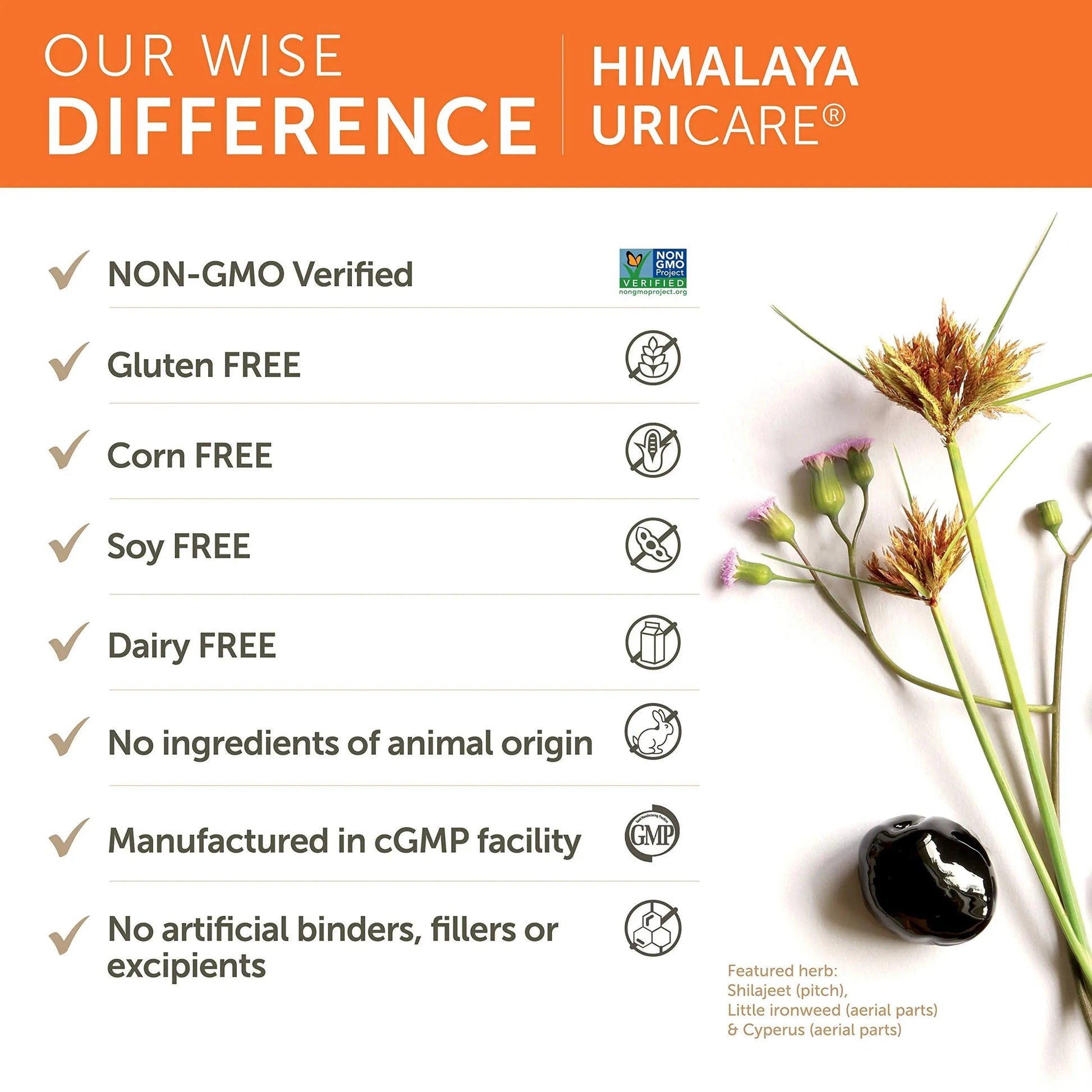 Himalaya UriCare Herbal Supplement, Kidney & Bladder Support, Urinary Tract & Urine Flow Support, Caffeine Free, Non-GMO, Gluten Free, Vegetarian, 240 Capsules, 60 Day Supply Himalaya buy supplements canada