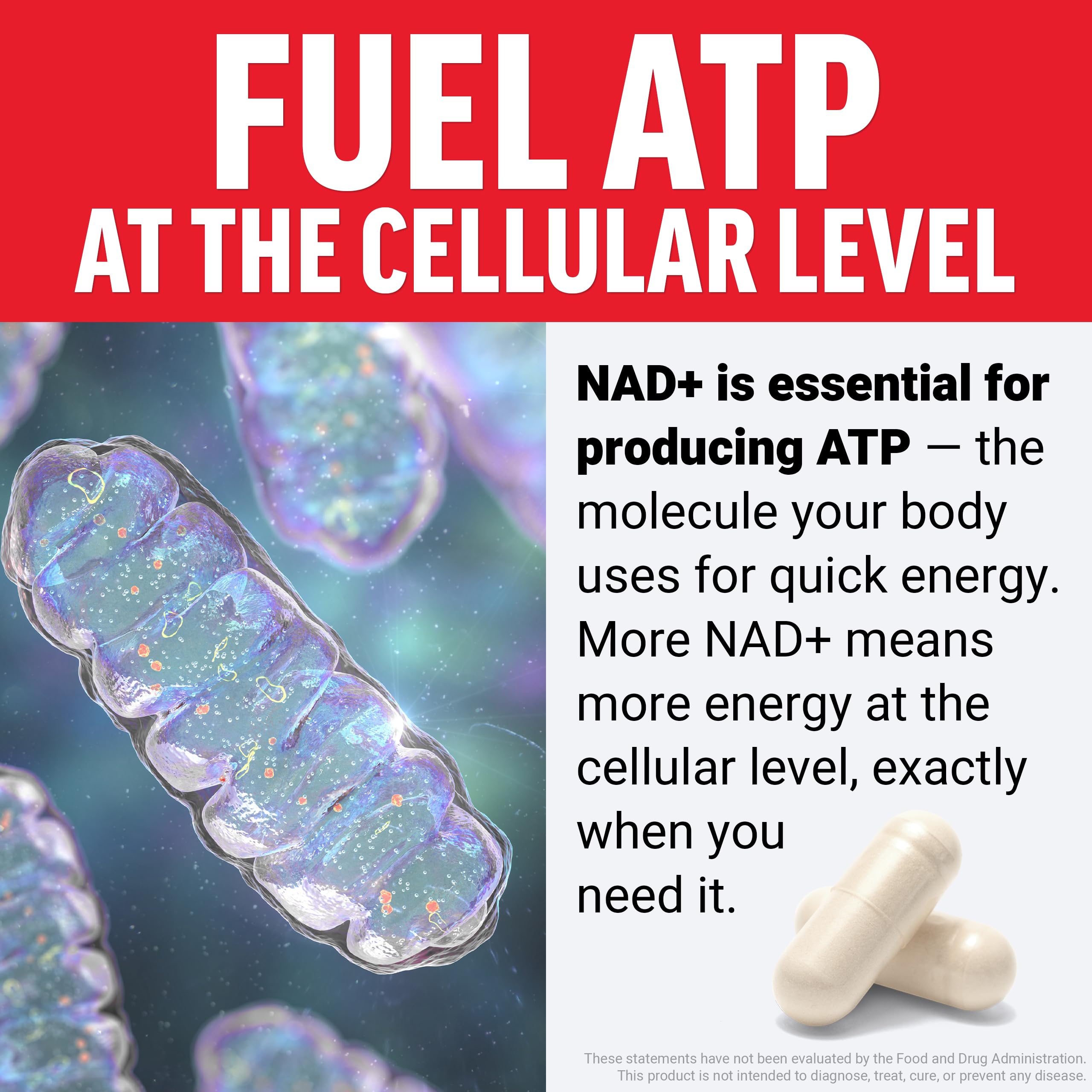 Force Factor NMN Supplement, Nicotinamide Mononucleotide to Support Healthy Aging and Energy Metabolism, Boosts NAD+ Levels, No Gelatin, Non-GMO, 30 Vegetable Capsules Force Factor buy supplements canada