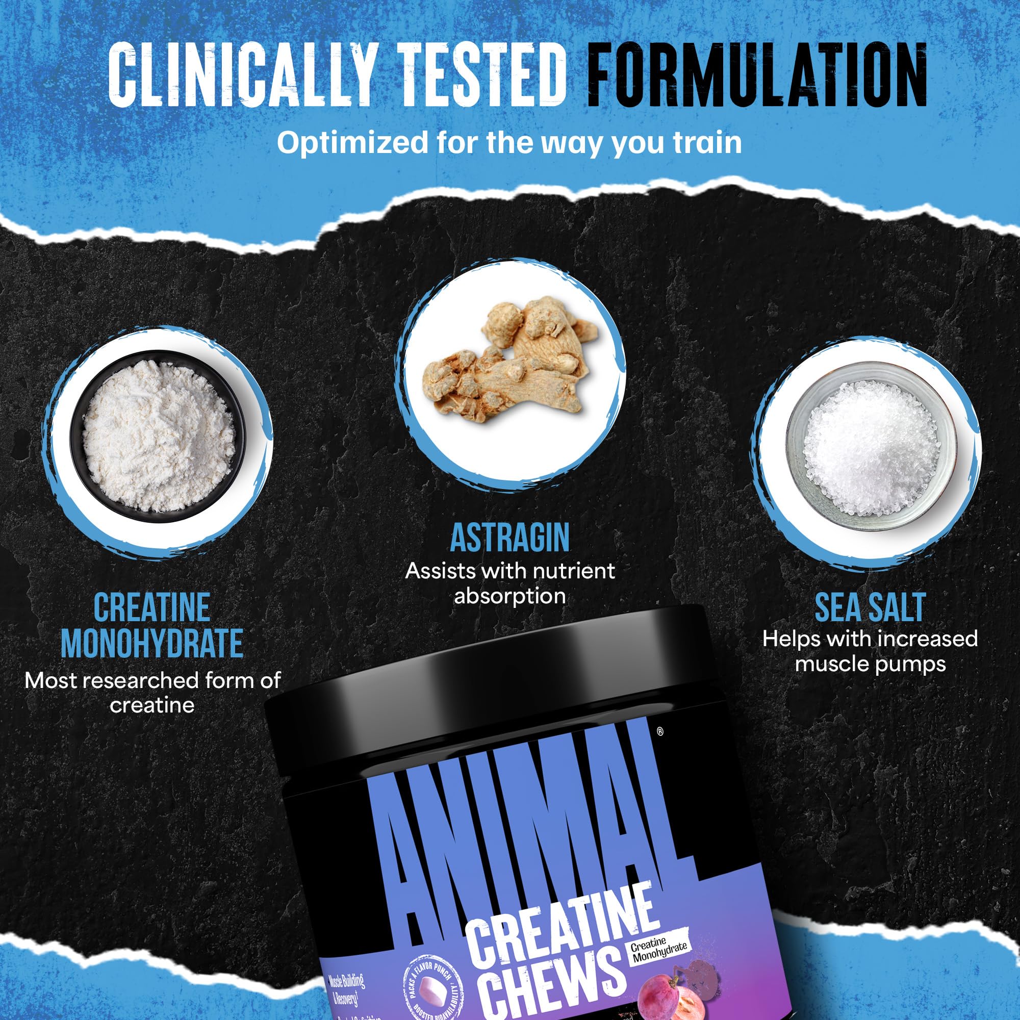 Animal Creatine Chews – 5g Creatine Monohydrate Tablets for Strength, Power & Training Recovery Support – Enhanced Absorption with AstraGin® – Convenient Chewable Format – 120 Tablets Animal buy supplements canada