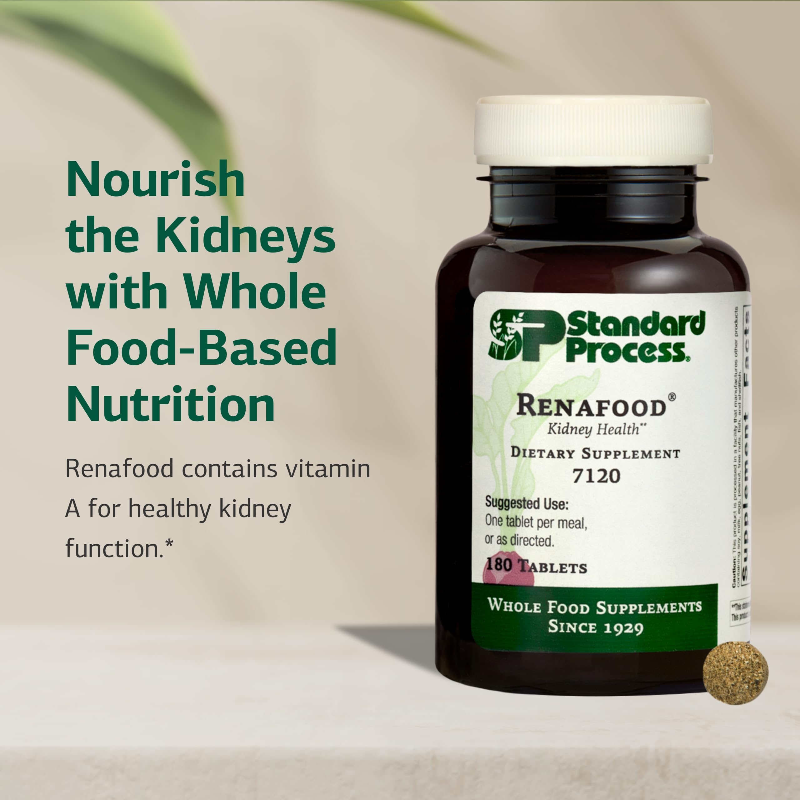 Standard Process Renafood - Supports Healthy Kidney Function & Antioxidant Activity - Contains Vitamins A - Non-Soy - 180 Tablets Standard Process Inc. buy supplements canada