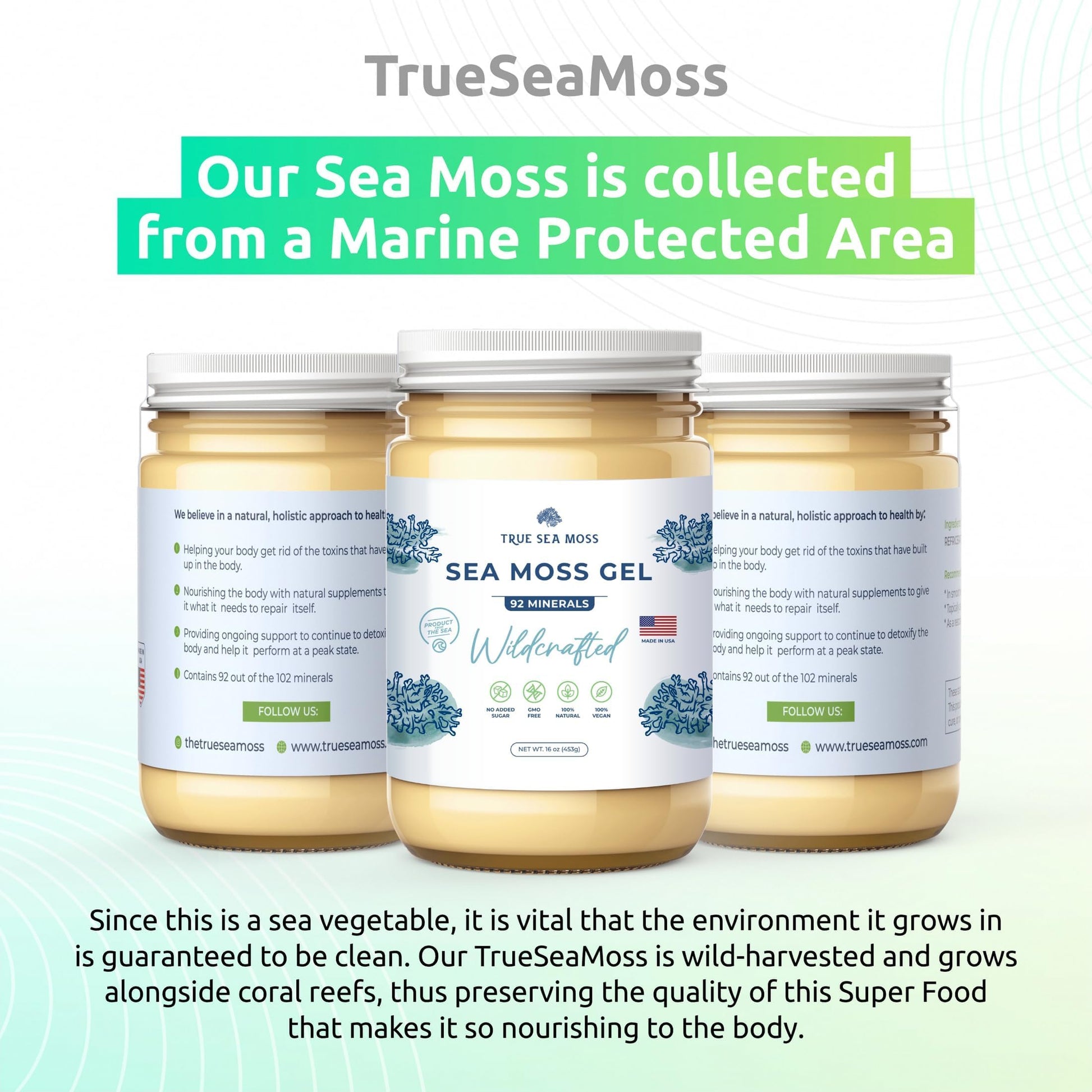 TrueSeaMoss Wildcrafted Irish Sea Moss Gel – Nutritious Raw Seamoss Rich in Minerals TrueSeaMoss buy supplements canada