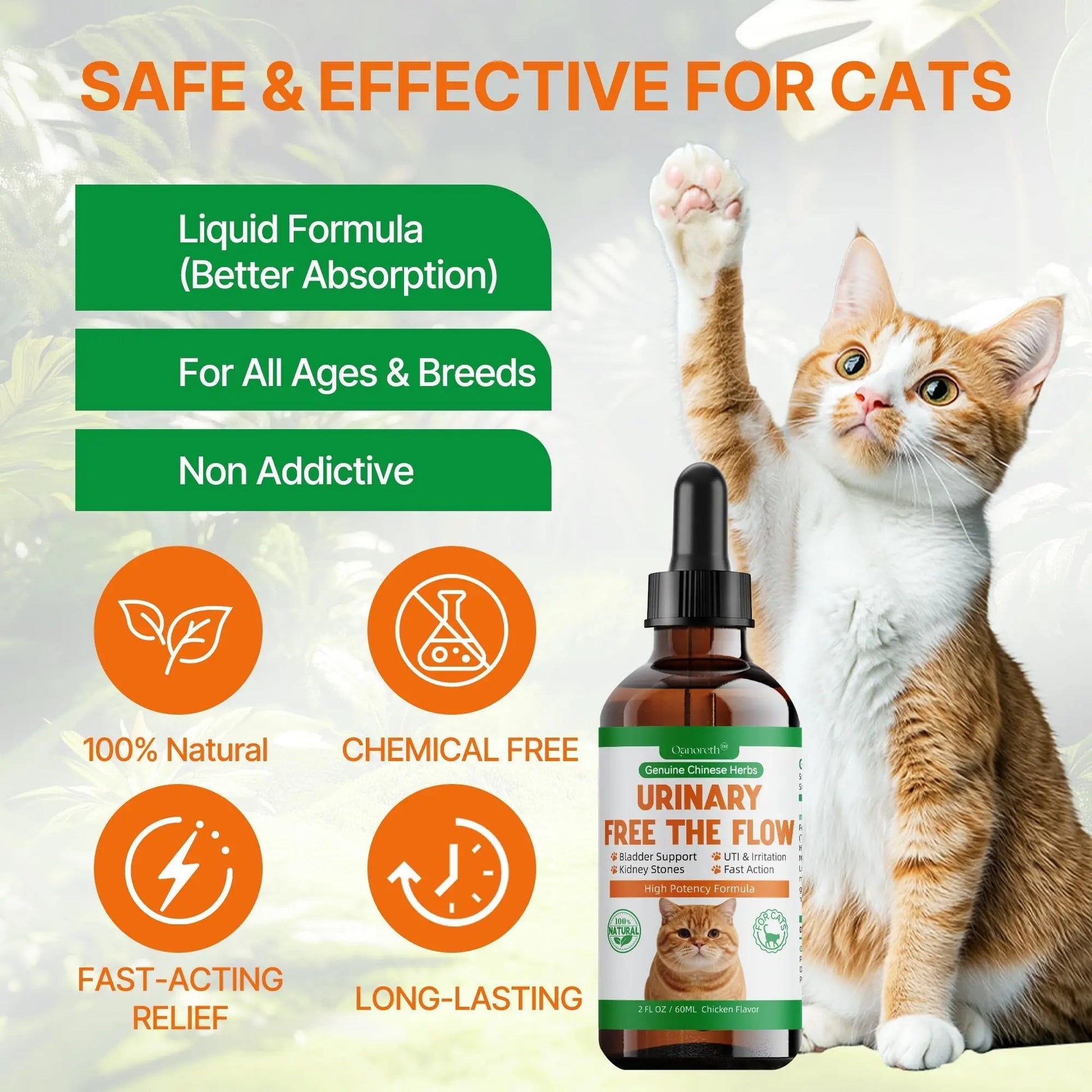 Cat Bladder Remedy for Stones & Crystals, Kidney StonesDissolver forCat- Urinary Free The Flow - Cat Urinary Tract Infection Treatment for Stones, Herbal CatUTI Remedy for Stone Relief & Prevention Qanoreth buy supplements canada