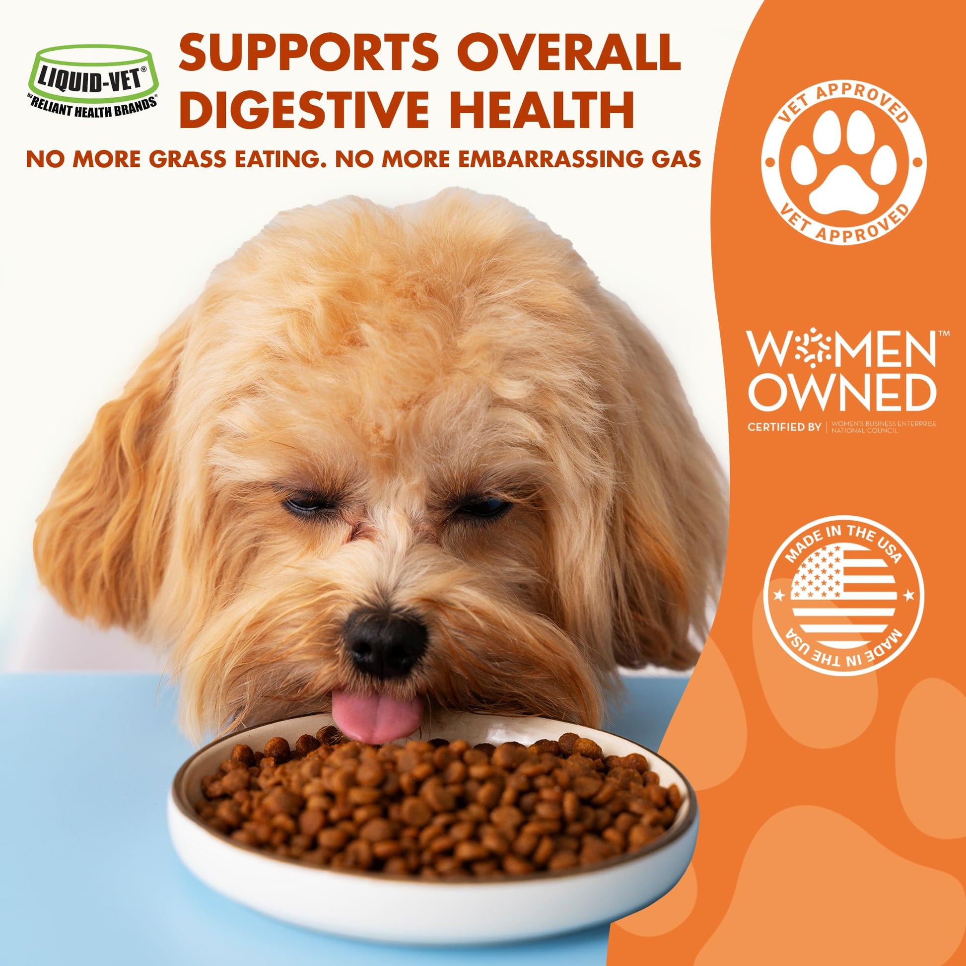 Pre & PostBiotic Support for Dogs – Digestive Upset, Stool Quality & Sensitive Stomach Support – Easy Liquid Formula for Picky Eaters LIQUID-VET buy supplements canada