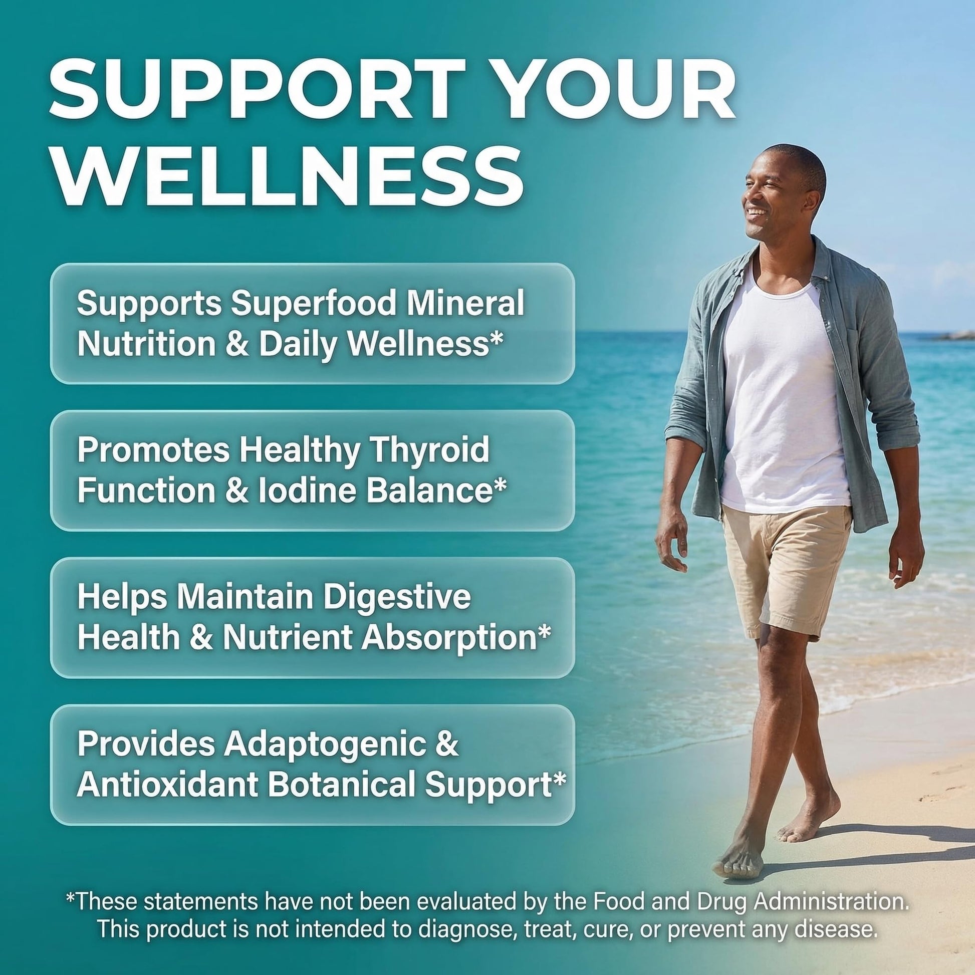 Clean Nutra Organic Sea Moss Capsules with Ashwagandha, Black Seed Oil, Burdock Root, Bladderwrack, Moringa, Chlorella, Spirulina, Turmeric, Elderberry, Amla – 90 Vegan Capsules – MiracleMin Clean Nutraceuticals buy supplements canada