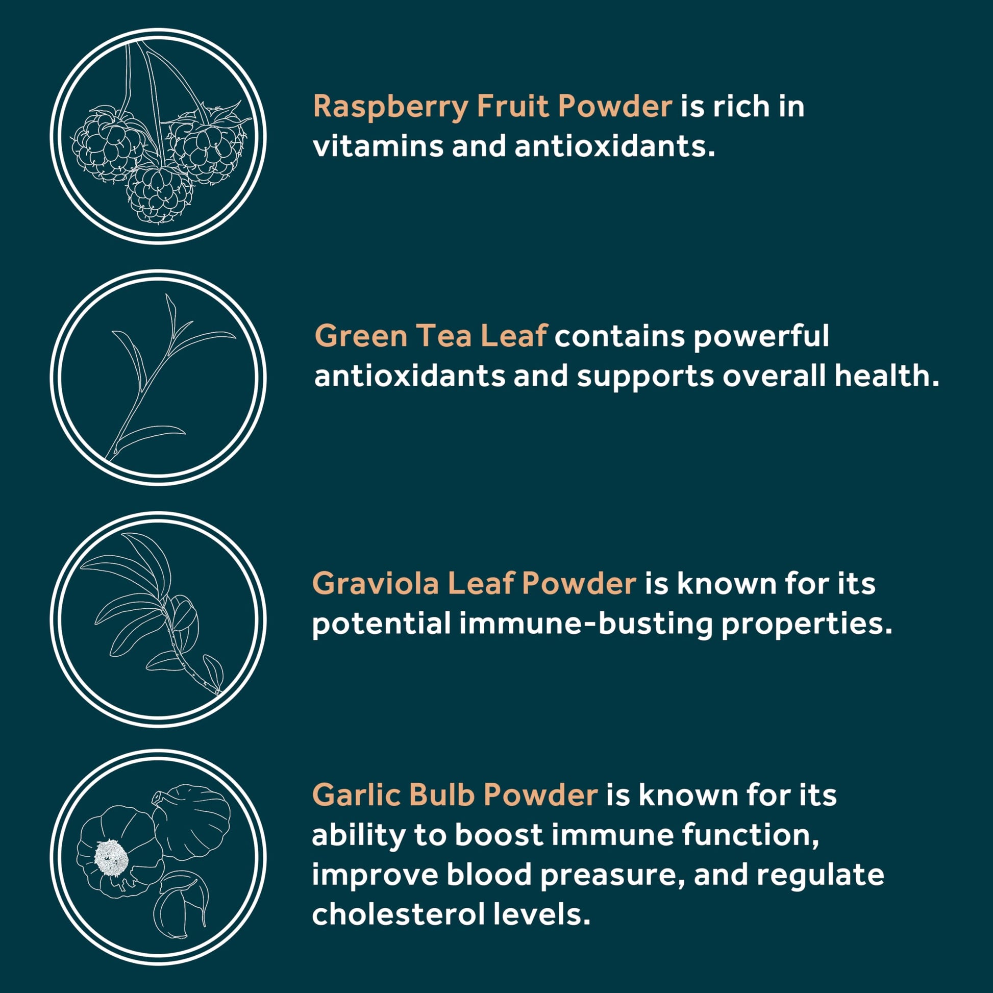 Immuni - Immune Support - Vitamin Supplement for Cold & Flu Relief - Natural Immunity System Booster - Vitamin C & E, Rasberry Fruit Powder, Green Tea Leaf, Olive leaf, and more - 30 Capsules OWL Balance buy supplements canada
