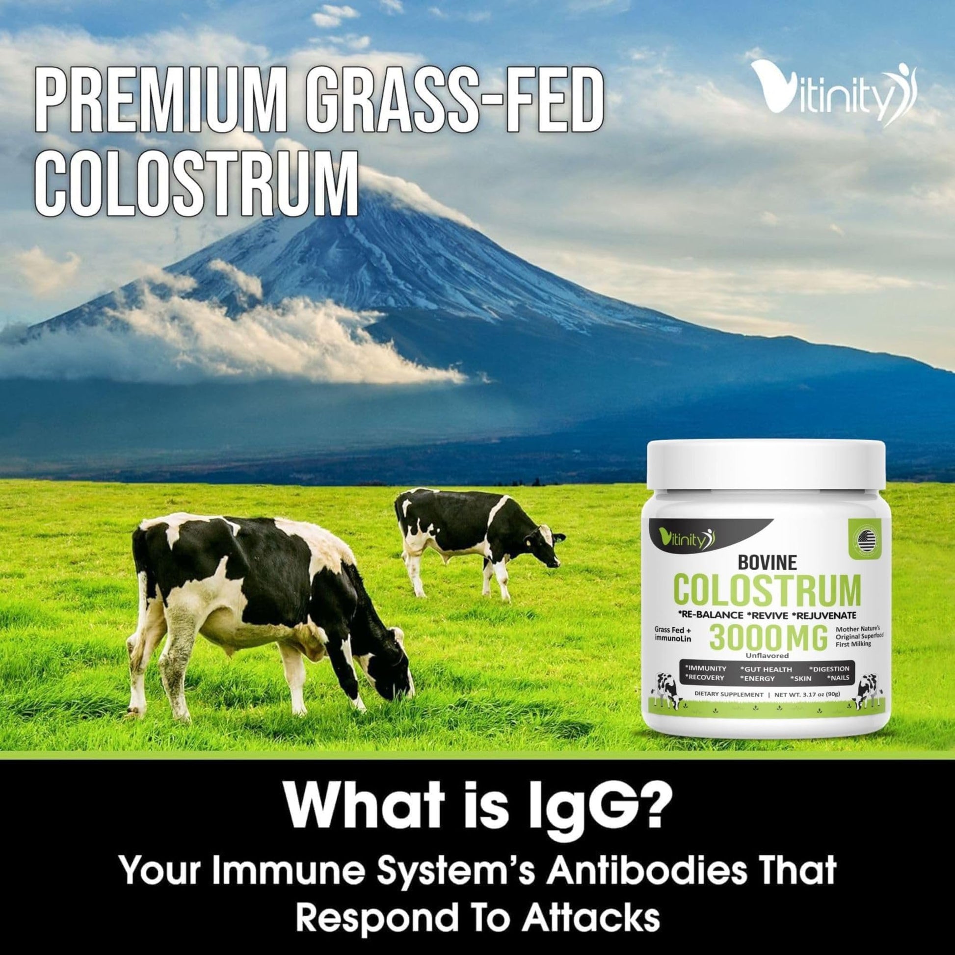 VITINITY Grass Fed Bovine Colostrum Powder for Humans 3000 mg - Natural IgG Colostrum Supplement Gut Health, Immune Support, Muscle Recovery, Wellness | Pure Colostrum Superfood,Unflavored 2 Pack VITINITY buy supplements canada