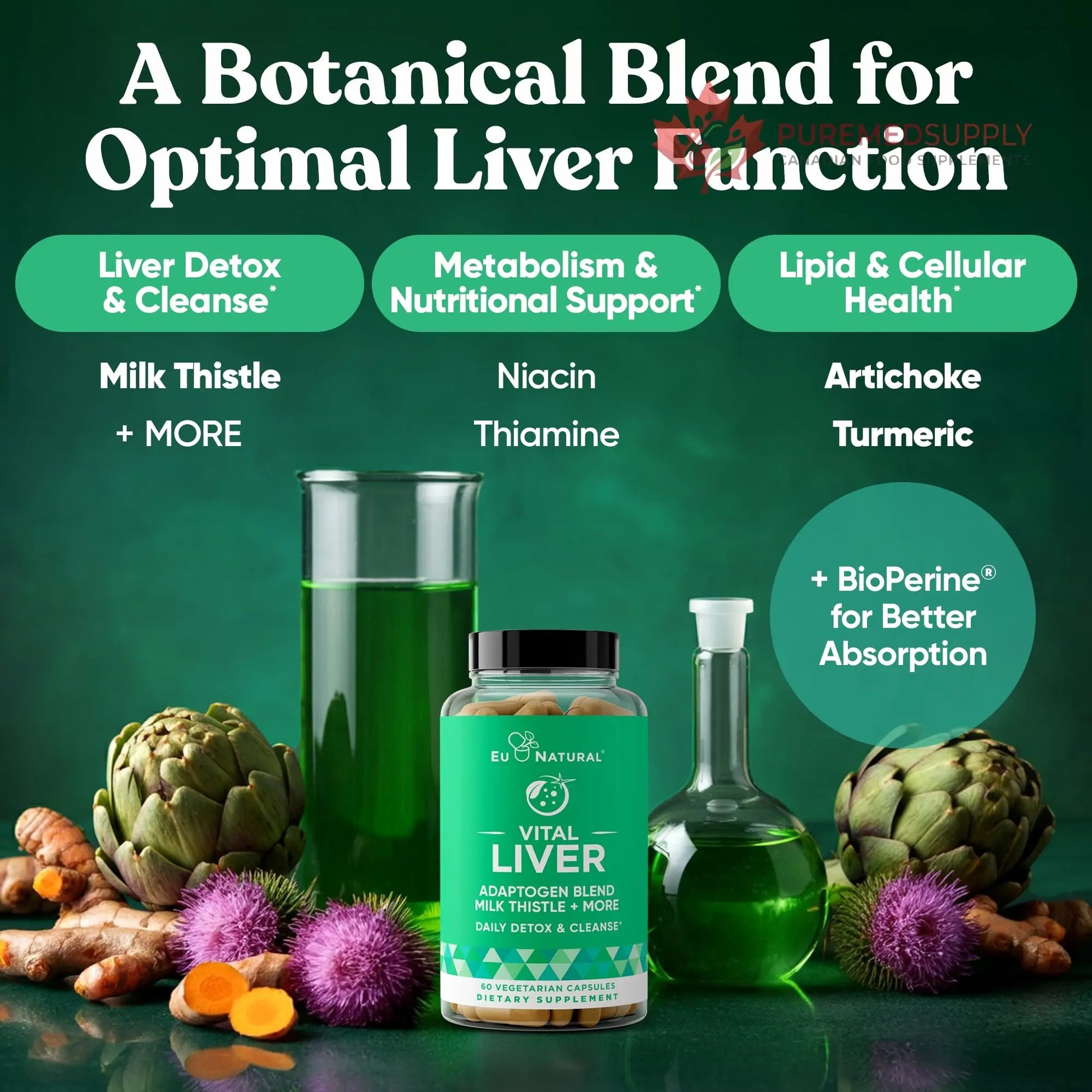 Conception for Him and Vital Liver Bundle - Male Fertility Booster & Prenatal Supplement + 9-in-1 Liver Support Eu Natural buy supplements canada