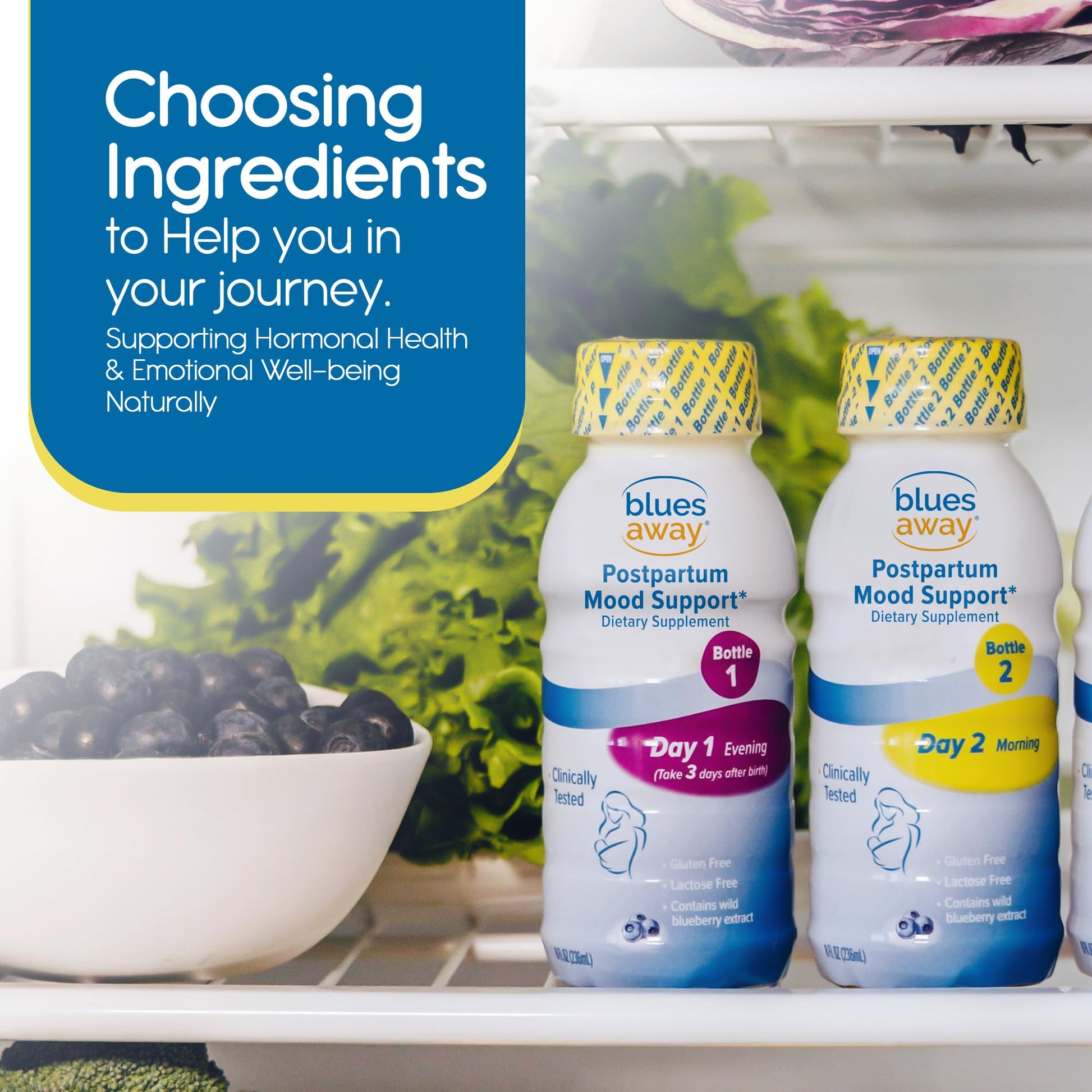 Blues Away Postpartum Mood Support Drink - Breastfeeding Friendly Postnatal Hormone Balance for Women - 3-Day Liquid Dietary Stress Support Shake [4 Bottles] Blues Away buy supplements canada