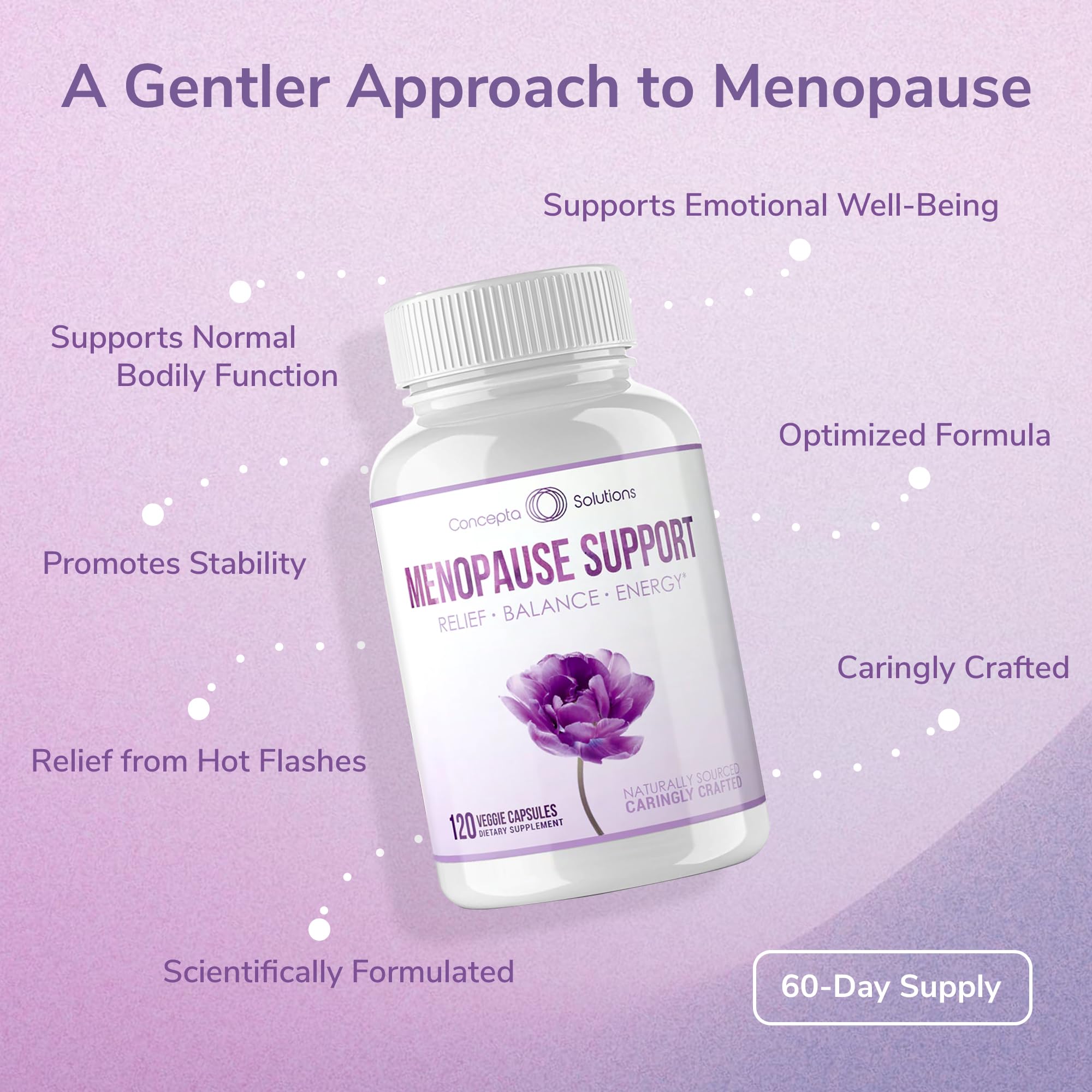 Concepta Solutions Menopause Support - Menopause Relief and Weight Management Support - for Hot Flashes, Night Sweats Relief and Energy - 120 Capsules - Made in USA Concepta Solutions buy supplements canada