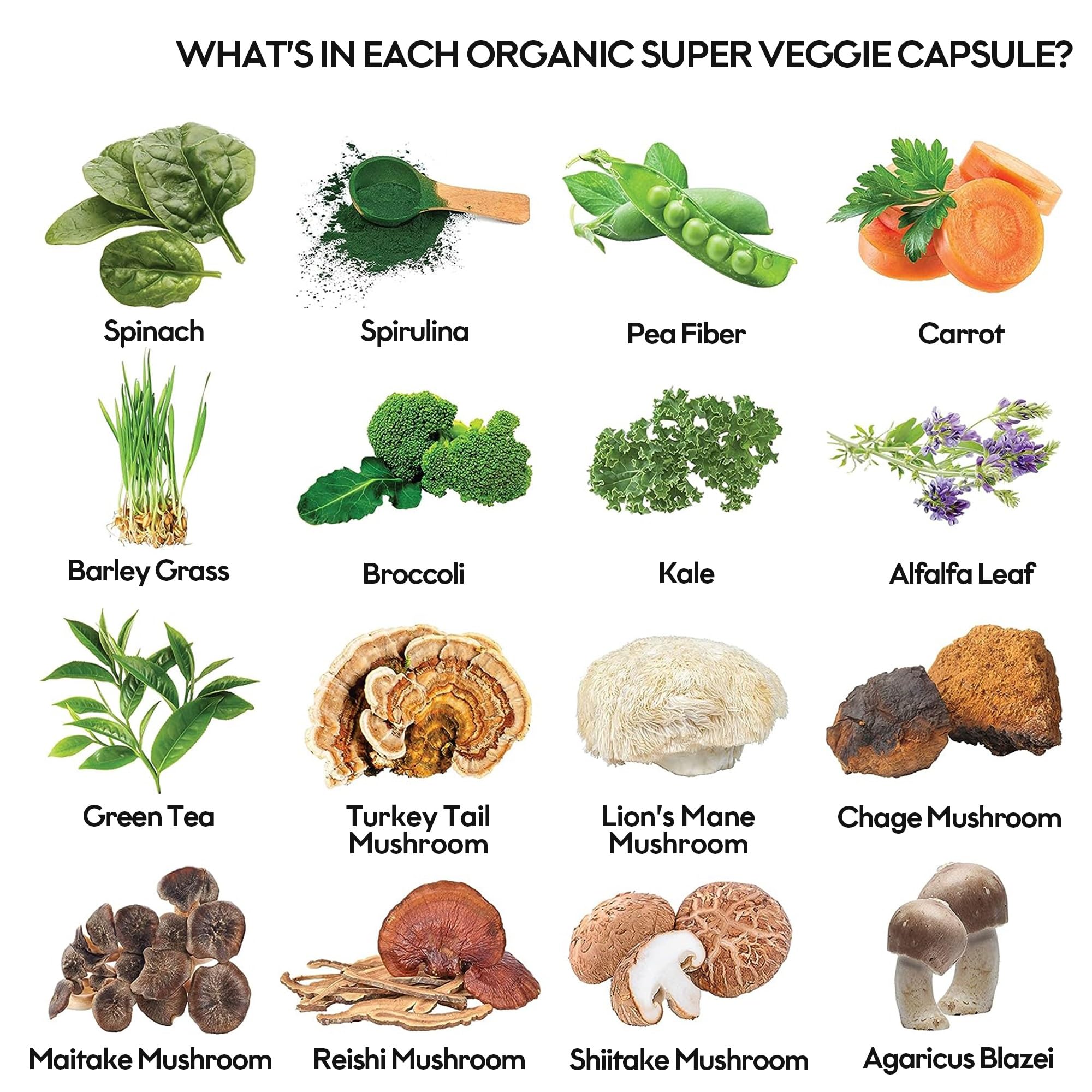 Fruits and Veggies Supplement (60 Day Supply) Powerfull Blend of 39 Whole Fruits and Veggies, Fills Nutritional Gaps, Get Energy, Well-being. USA Made Non-GMO/Vegan/Gluten Free. Packaging May Vary ROOTIE buy supplements canada