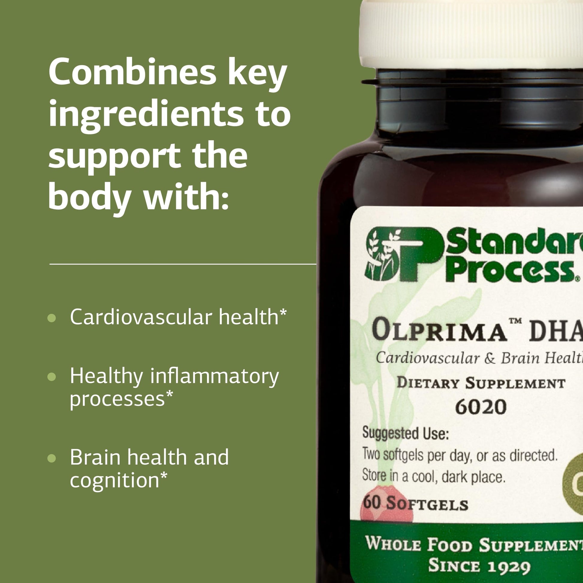 Standard Process Olprima DHA - Omega-3 Supplement for Heart & Brain Health - Gluten-Free, Non-Dairy & Non-Soy - 60 Softgels (30 Servings) Standard Process Inc. buy supplements canada