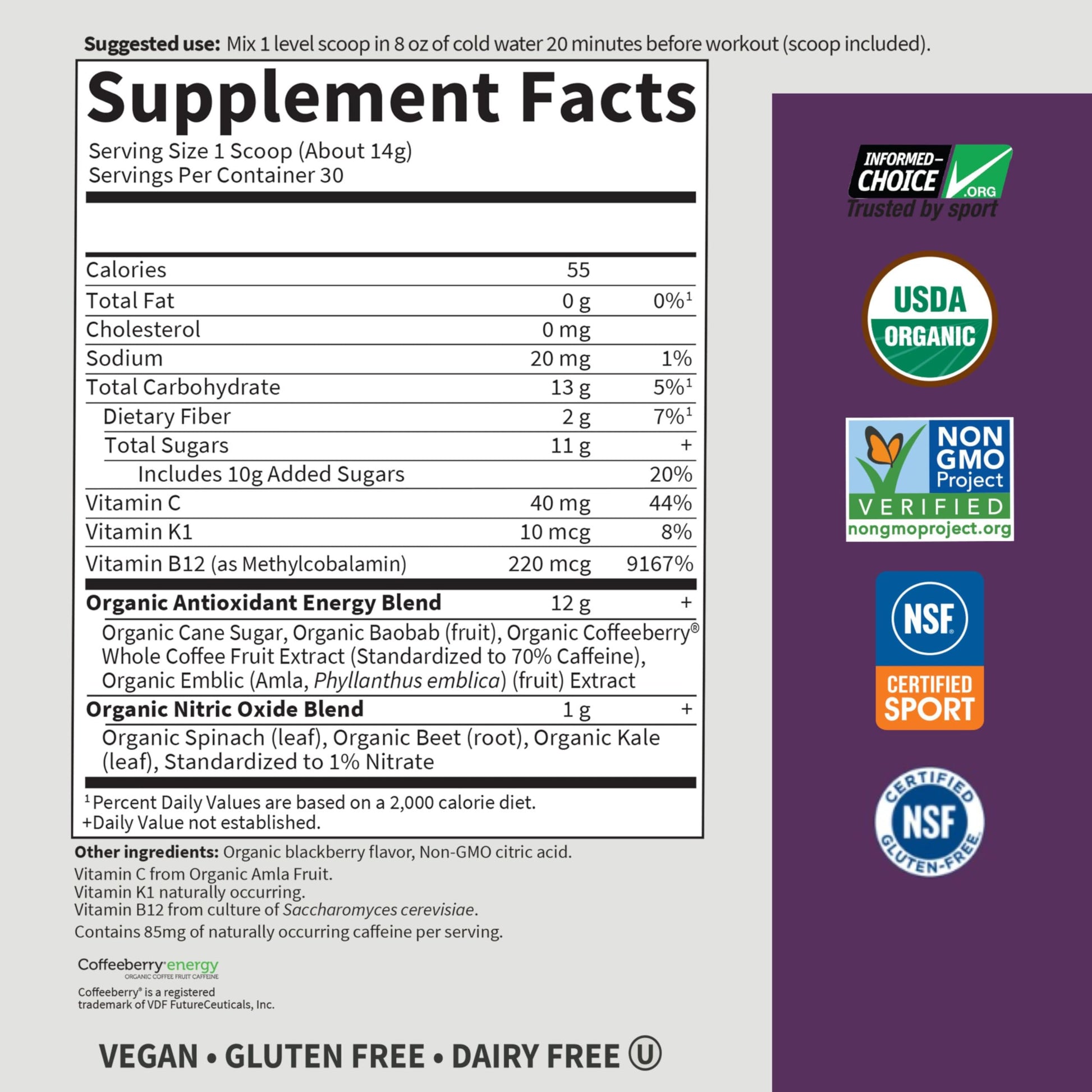 Garden of Life Sport Organic Plant Based Energy + Focus Clean Pre Workout Powder, with 85mg Caffeine, Natural No Booster, B12, Vegan, Gluten Free, Non-GMO, BlackBerry, 15.3 Oz Garden of Life buy supplements canada