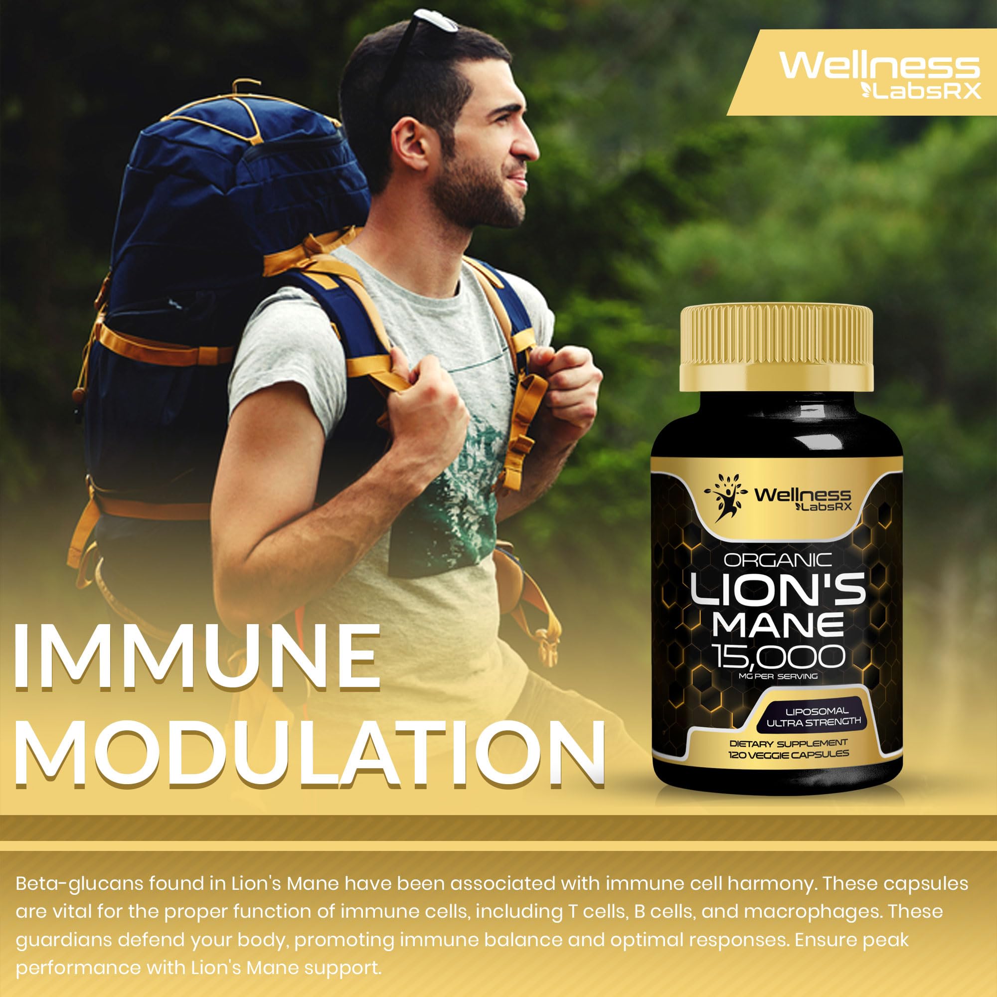 Lions Mane Supplement Capsules - 120 Count - Mushroom Supplement, Brain Supplements WELLNESS LABSRX buy supplements canada