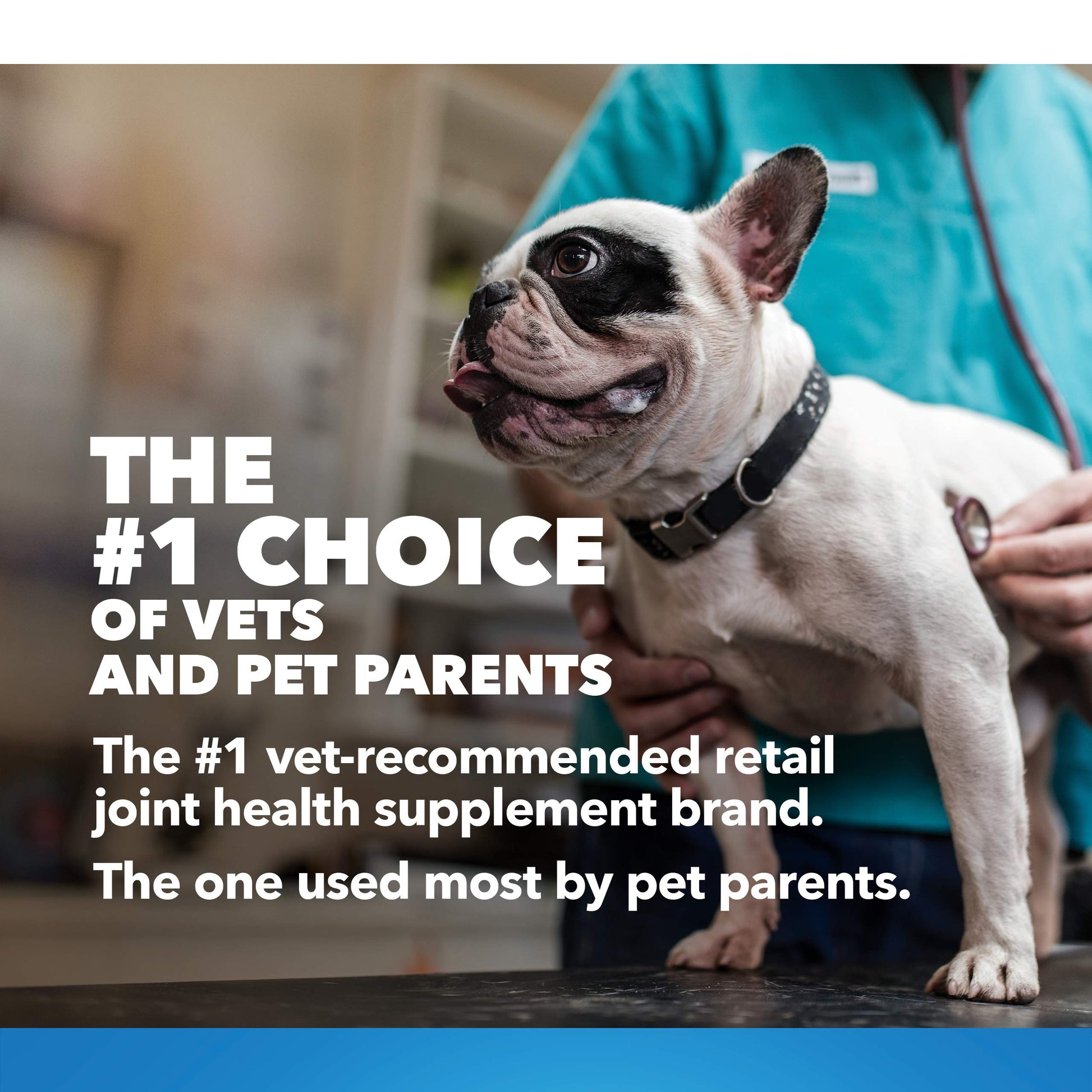 Nutramax Laboratories Cosequin Maximum Strength Joint Health Supplement for Dogs Nutramax Laboratories buy supplements canada