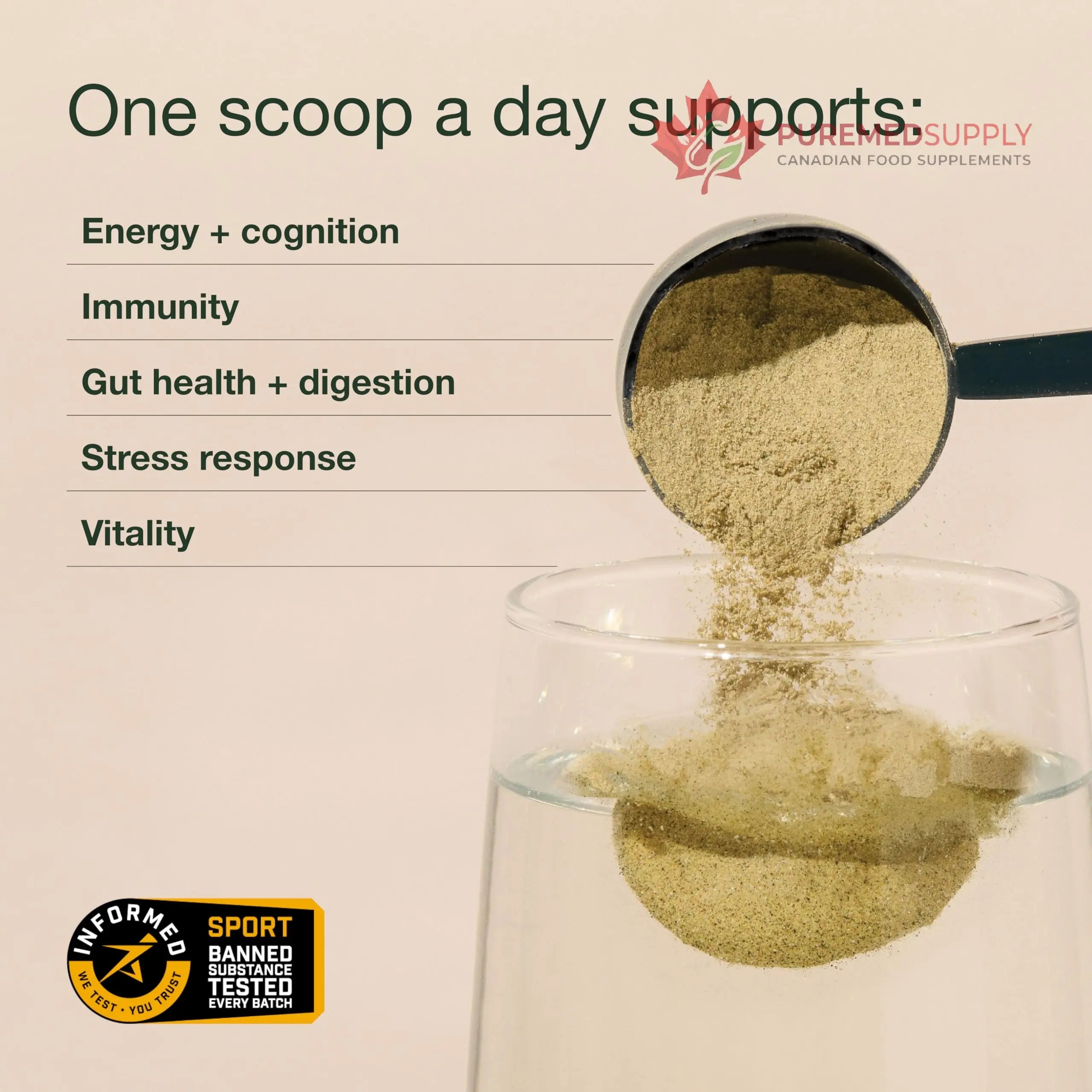 Nuzest Greens Powder Good Green Vitality – Vitamins, Minerals & Superfoods – Vegan Multivitamin Supplement (300g) Nuzest buy supplements canada