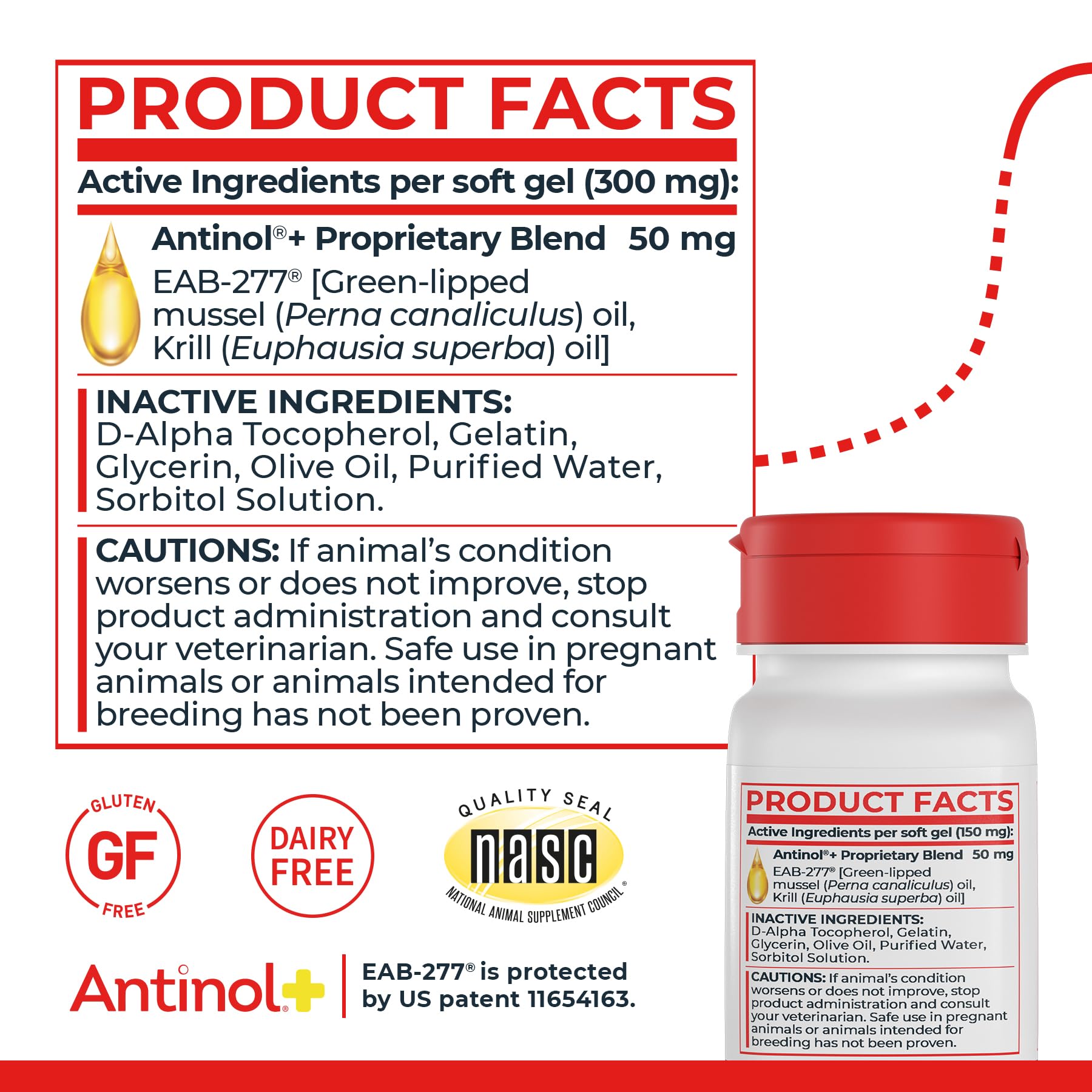Antinol Plus, Mobility, Hip, and Joint Supplement for Cats, Green-Lipped Mussels and Krill Oil - Cat Joint Supplement, 30 Soft Gels Antinol buy supplements canada