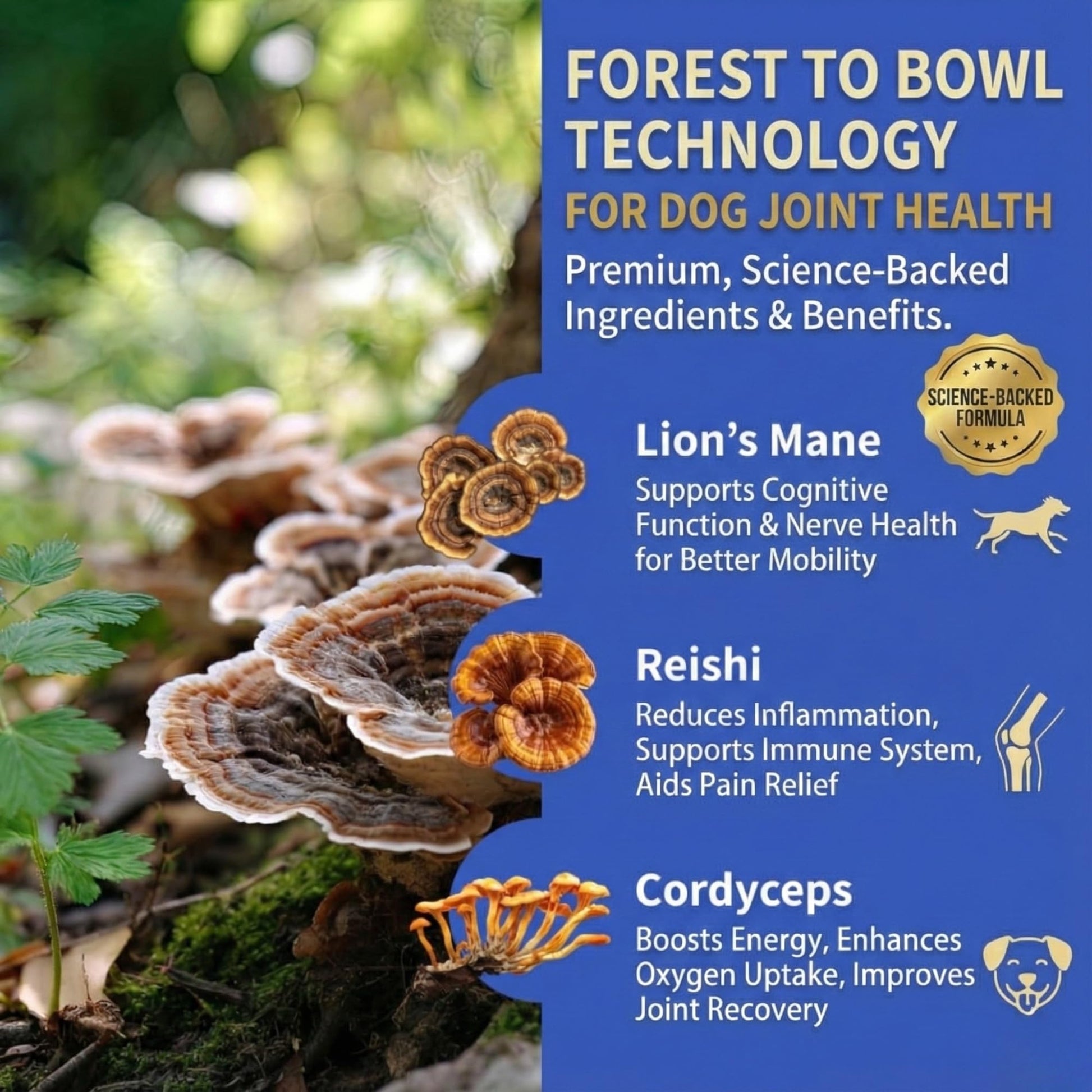 Fifth & Fido Joint Supplement for Dogs - Glucosamine for Dogs - Pet Vitamins and Supplements Powder with Chondroitin & MSM - Hip & Joint Support for Mobility, Stiffness & Flexibility - Mushroom Blend Fifth & Fido buy supplements canada
