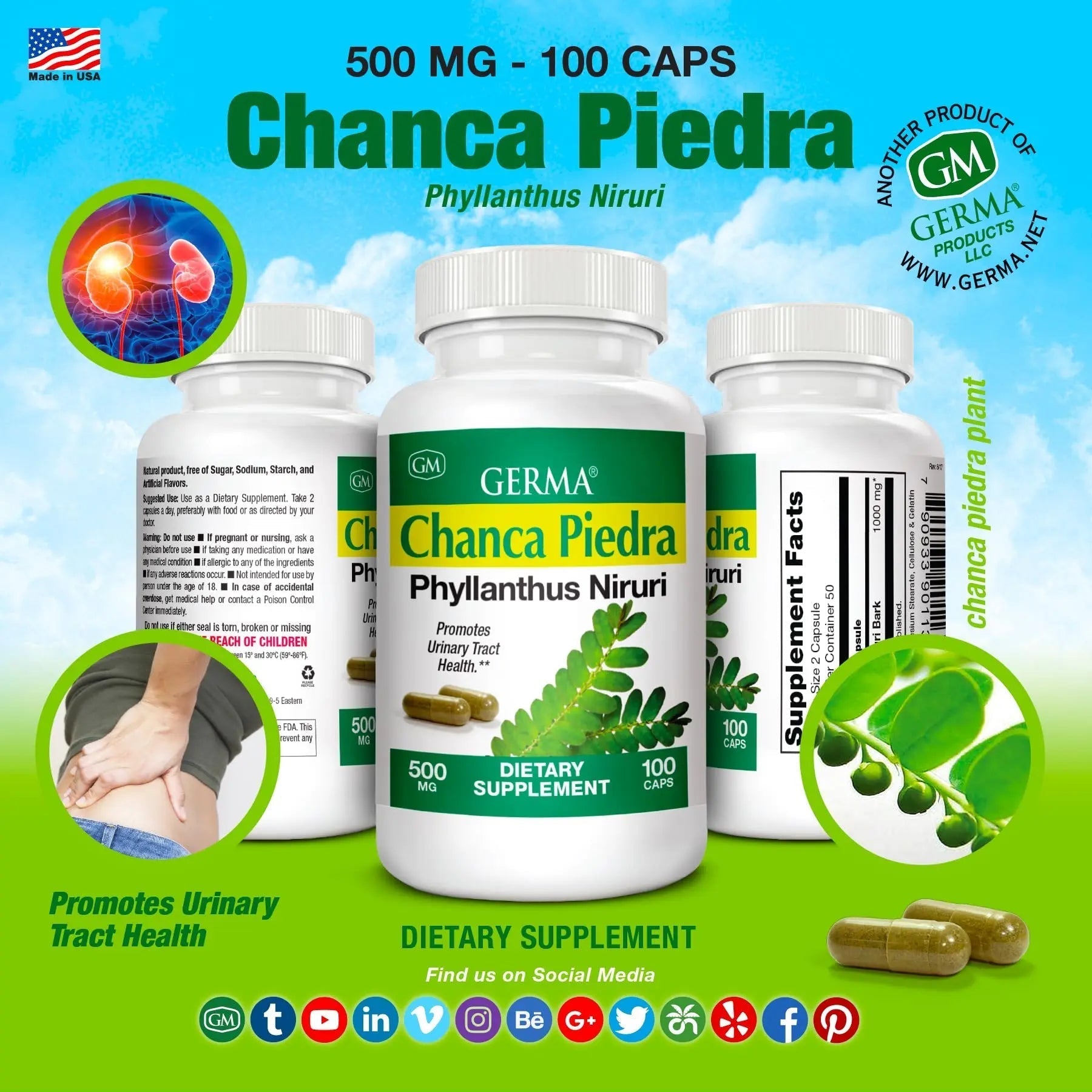 Germa Chanca Piedra Supplement – 500mg Phyllanthus Niruri – Traditional Stone Breaker Herb for Urinary & Kidney Support – Rainforest Botanical – 100% Natural Vegan Capsules, 100 Count Germa buy supplements canada