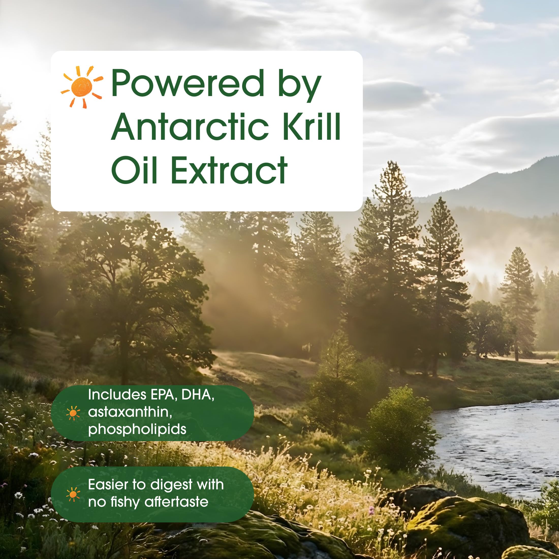 NatureBell Antarctic Krill Oil 1,000mg - 240 Softgels - Omega-3 Heart, Joint & Immune Health Support* NatureBell buy supplements canada