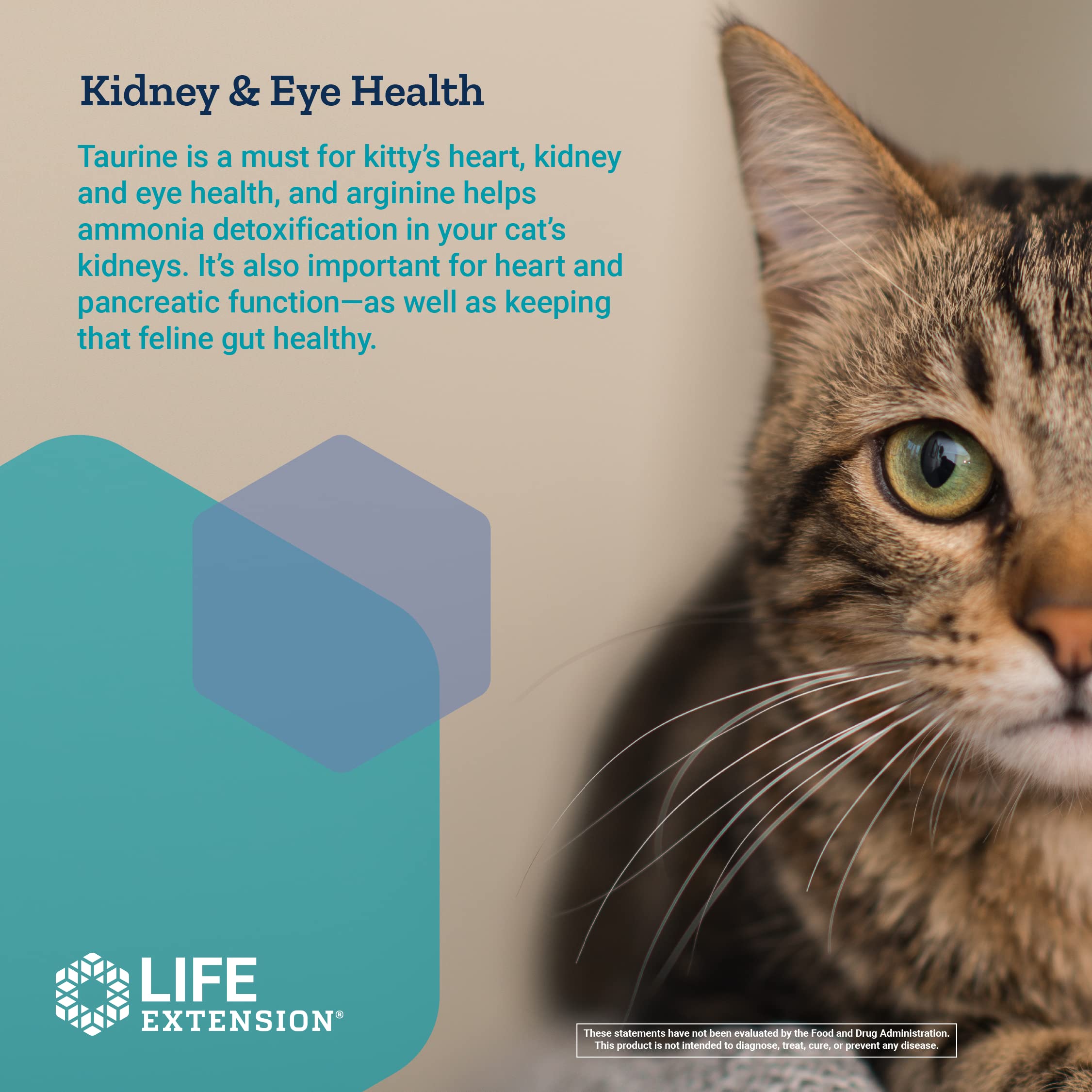 Life Extension Cat Mix – For Heart, Kidney & Pancreatic Function + Gut Health Life Extension buy supplements canada
