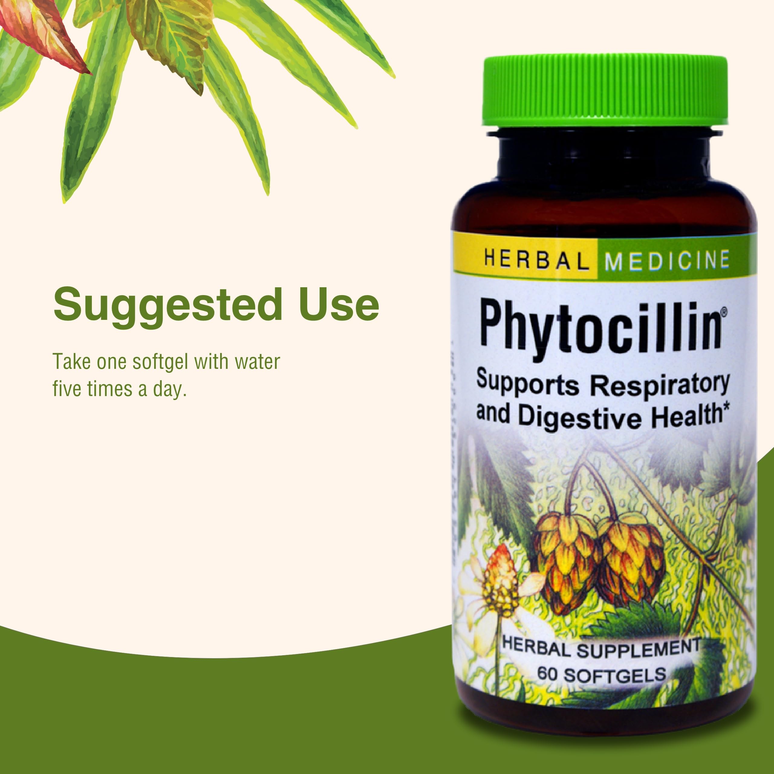 Herbs Etc. Phytocillin - Respiratory & Digestive Health Support Supplement - Herbal Formula to Support Digestion - Support Healthy Breathing - 60 Softgels (60 Servings) Herbs Etc. buy supplements canada