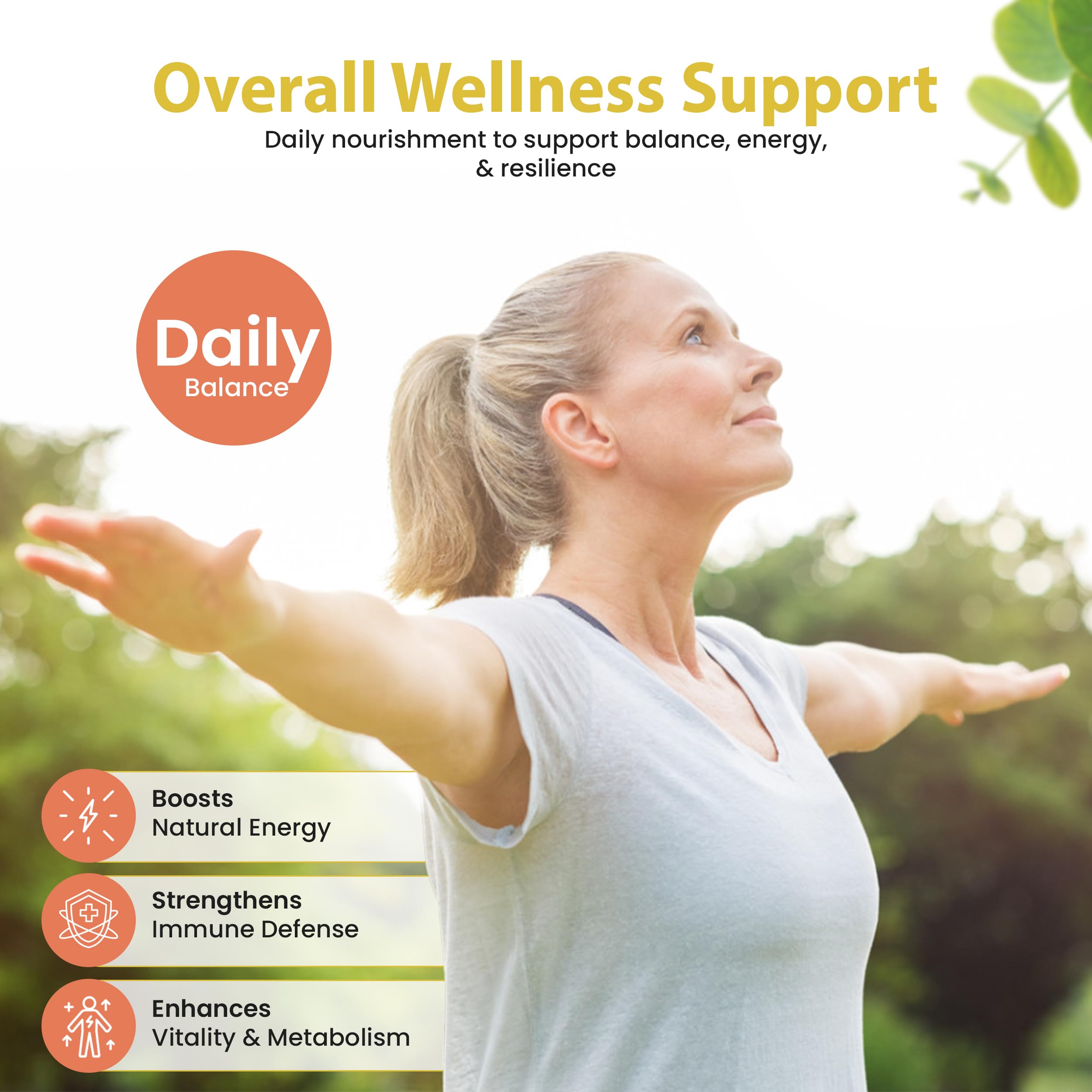Bella All Natural Moringa Capsules 60 Count - Moringa Oleifera Leaf Supplement with Pomegranate & Elderberry Flavor, Pure Organic Moringa Capsules for Immune, Energy & Skin Health Support Bella All Natural buy supplements canada