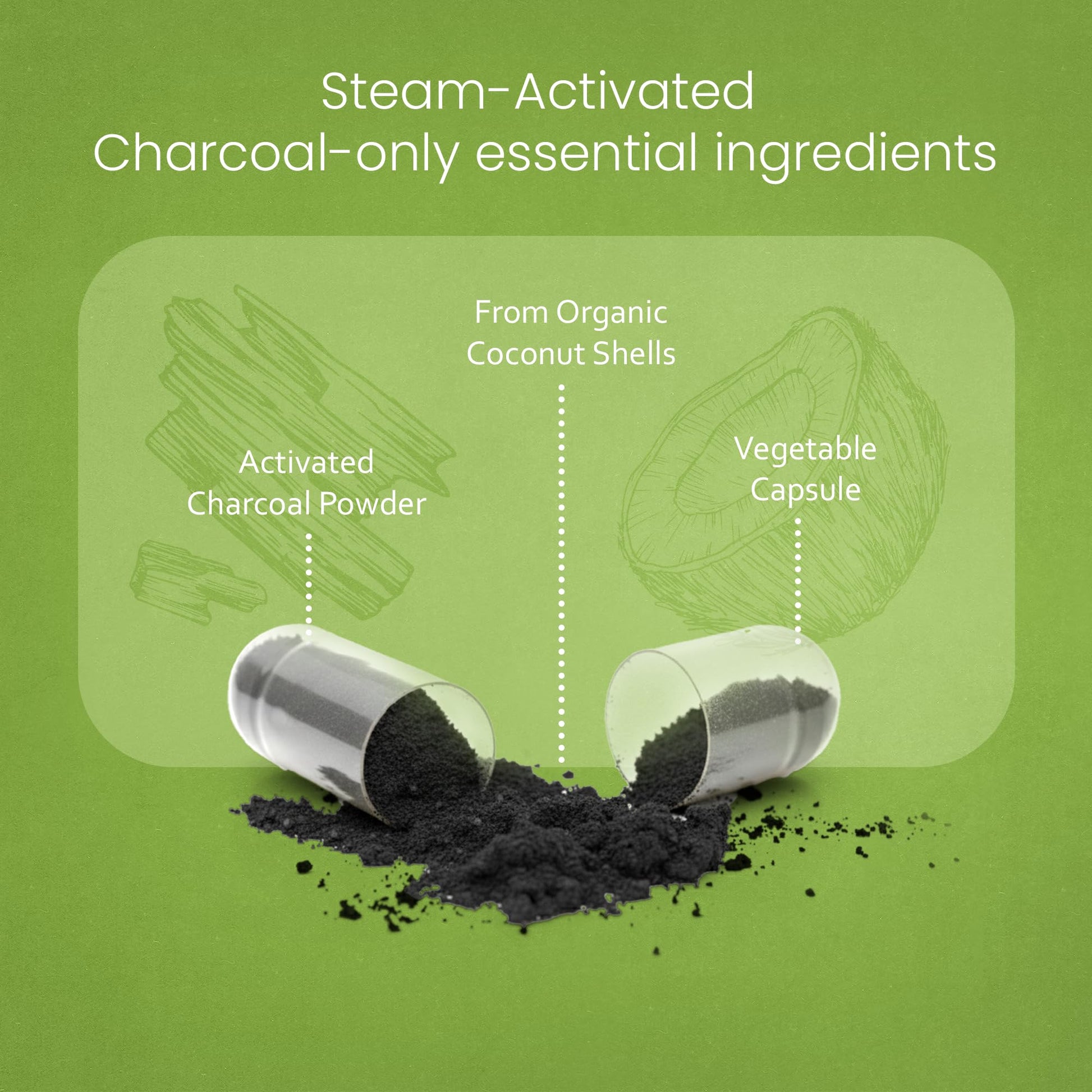 NaturaLife Labs Activated Charcoal 1200 mg per Serving – from Coconut Shells – 100 Veg Capsules – Non-GMO, Gluten-Free, Vegan NaturaLife Labs buy supplements canada