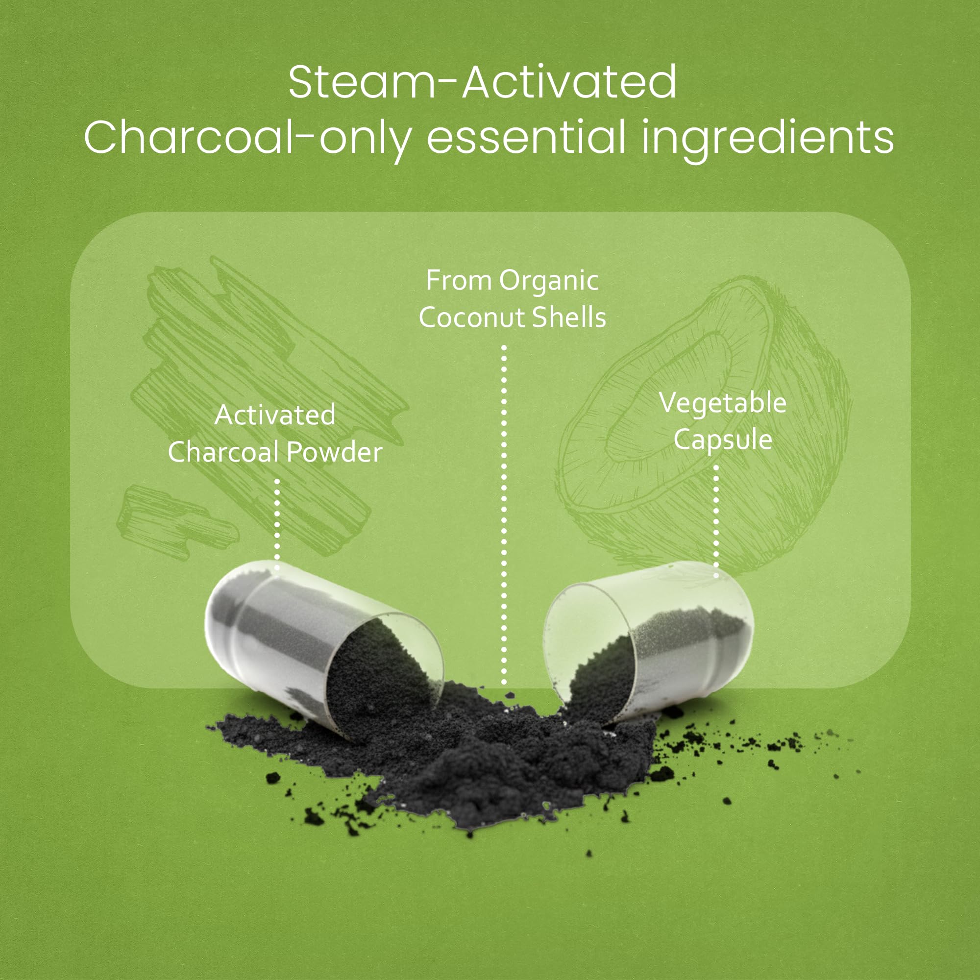 NaturaLife Labs Activated Charcoal 1200 mg per Serving – from Coconut Shells – 100 Veg Capsules – Non-GMO, Gluten-Free, Vegan NaturaLife Labs buy supplements canada