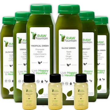 1 Day Green Juice Cleanse by Raw Fountain, All Natural Raw, Vegan Detox, Cold Pressed Raw Fountain buy supplements canada