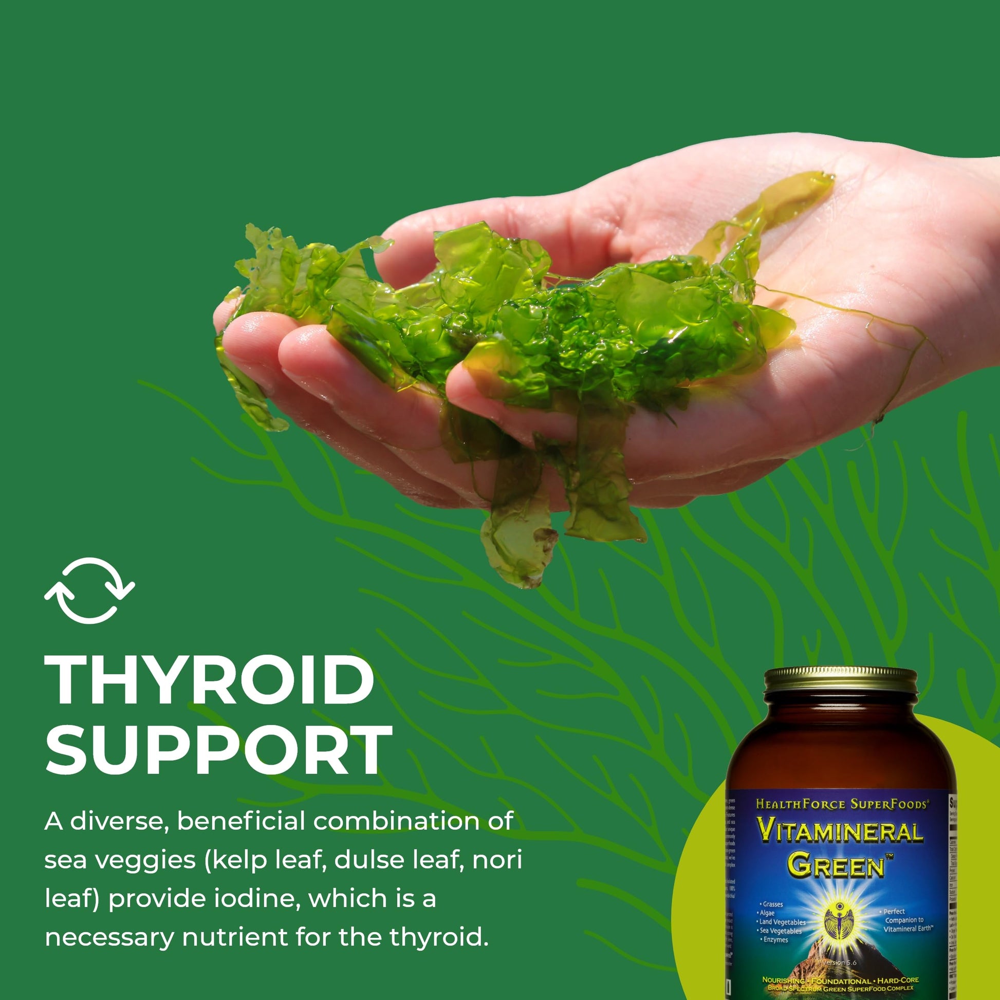 HEALTHFORCE SUPERFOODS Vitamineral Green - Mineral Supplement for Immune & Thyroid Support - Green Powder Supplement with Ingredients from The Land - Gluten-Free & Vegan - 500 Grams HEALTHFORCE SUPERFOODS buy supplements canada