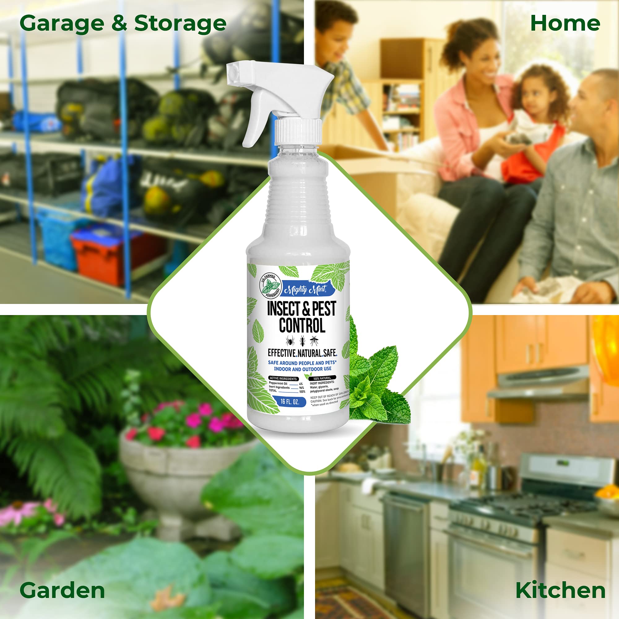 Mighty Mint 16 oz Peppermint Oil Insect & Pest Spray - for Spiders, Ants Mighty Mint buy supplements canada