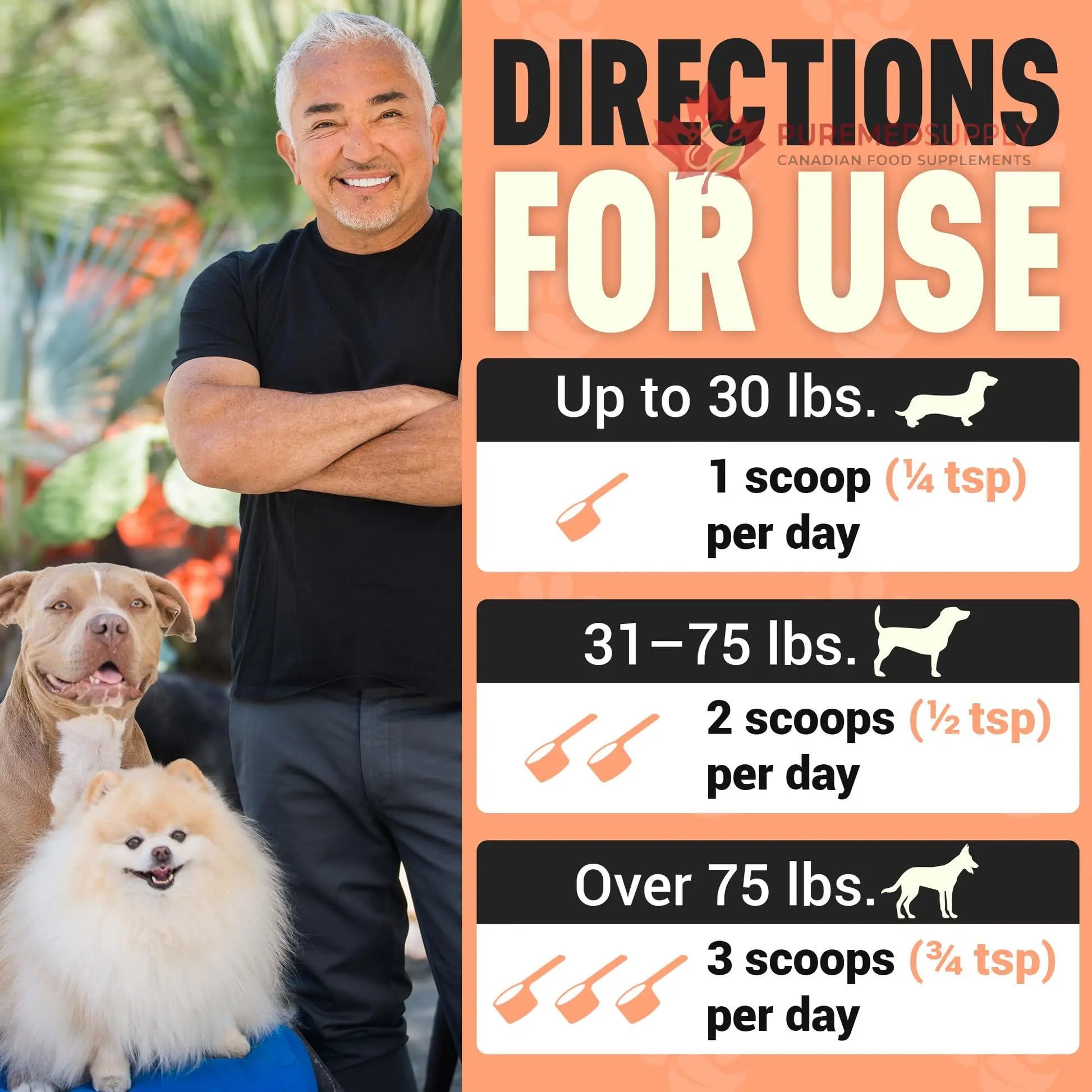 Better Dog Supplements Happy-Go-Lucky Belly by Cesar Millan - Natural Dog Digestive Support Powder – Dog Constipation Relief, Gut Balance & Regularity with Herbal Fiber for Dogs – 4oz (60-Day Supply) Better Dog Supplements By Cesar Millan buy supplements canada