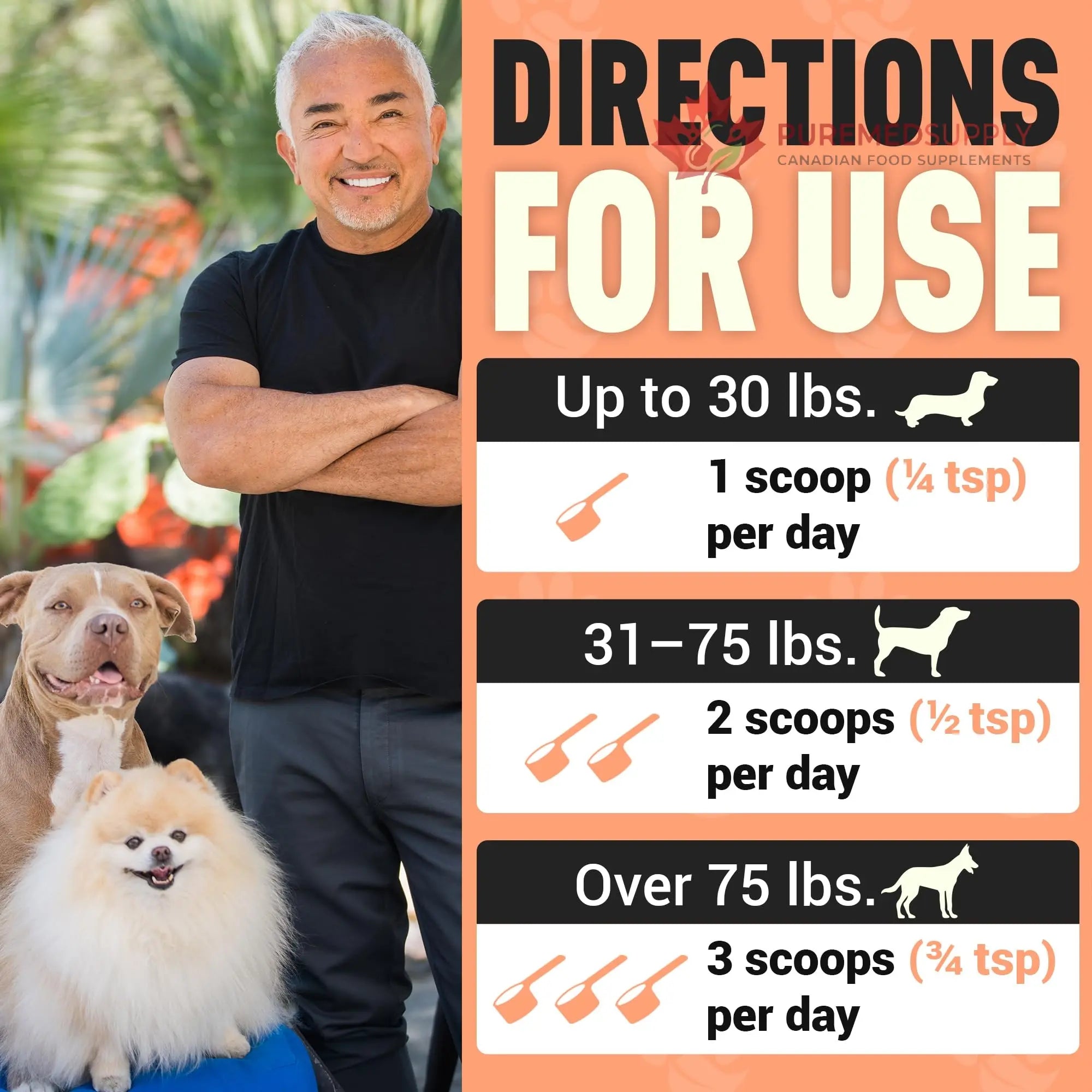 Better Dog Supplements Happy-Go-Lucky Belly by Cesar Millan - Natural Dog Digestive Support Powder – Dog Constipation Relief, Gut Balance & Regularity with Herbal Fiber for Dogs – 4oz (60-Day Supply) Better Dog Supplements By Cesar Millan buy supplements canada