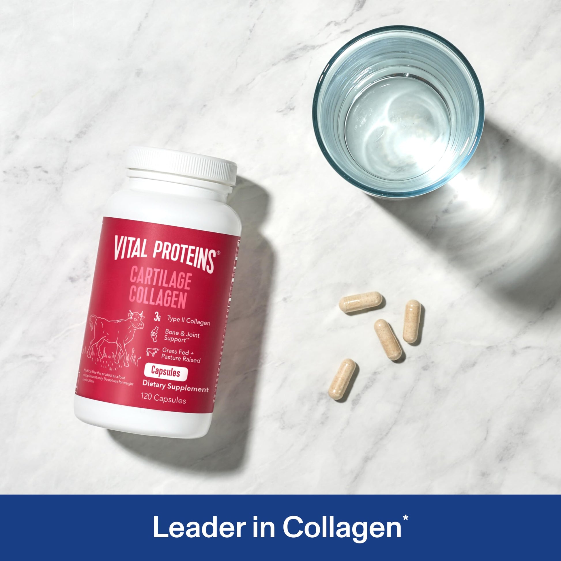 Vital Proteins Cartilage Collagen Pills, Type II Collagen & Chondroitin Sulfate Supplement for Recovery & Healthy Hair, Skin, Nails and Joints Vital Proteins buy supplements canada