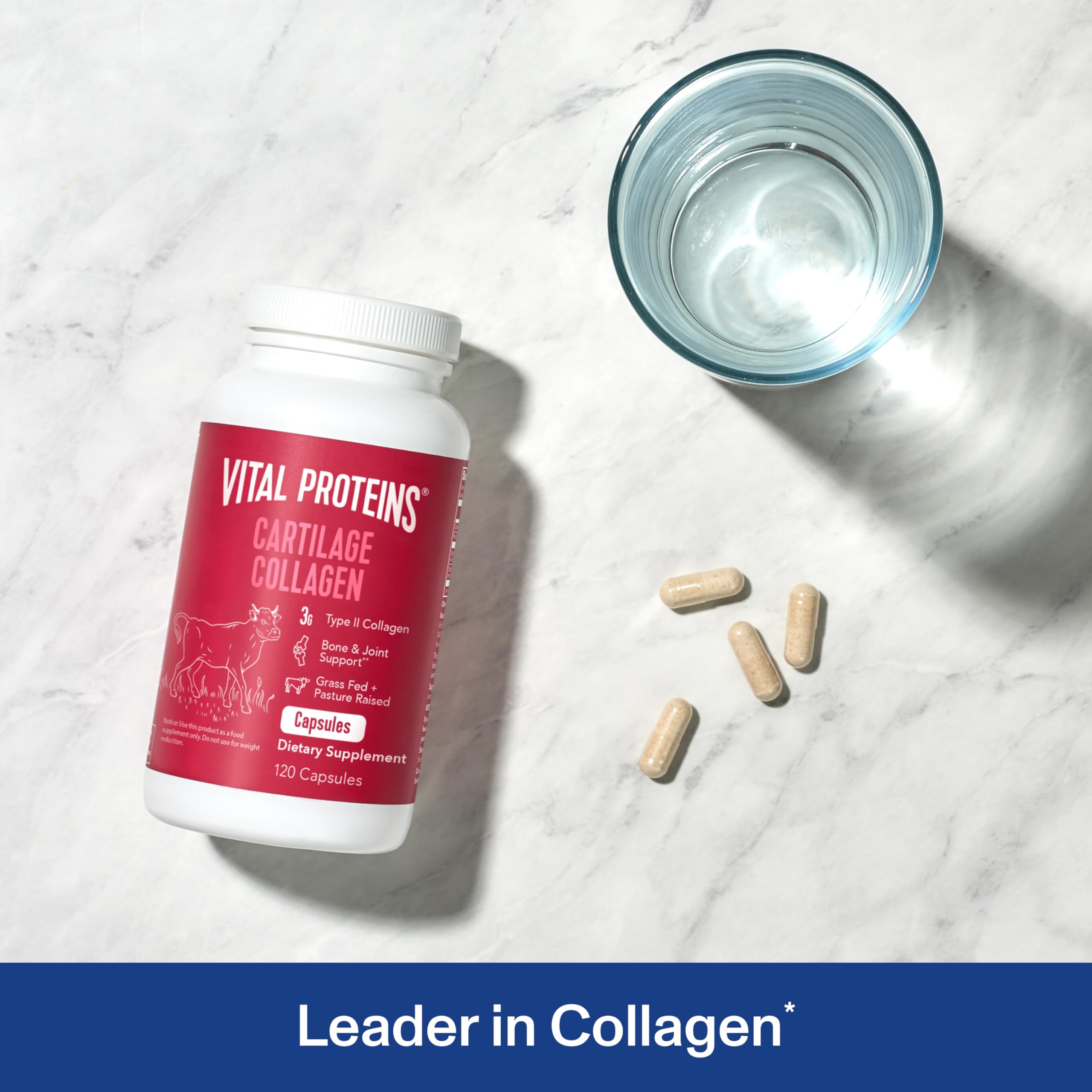 Vital Proteins Cartilage Collagen Pills, Type II Collagen & Chondroitin Sulfate Supplement for Recovery & Healthy Hair, Skin, Nails and Joints Vital Proteins buy supplements canada
