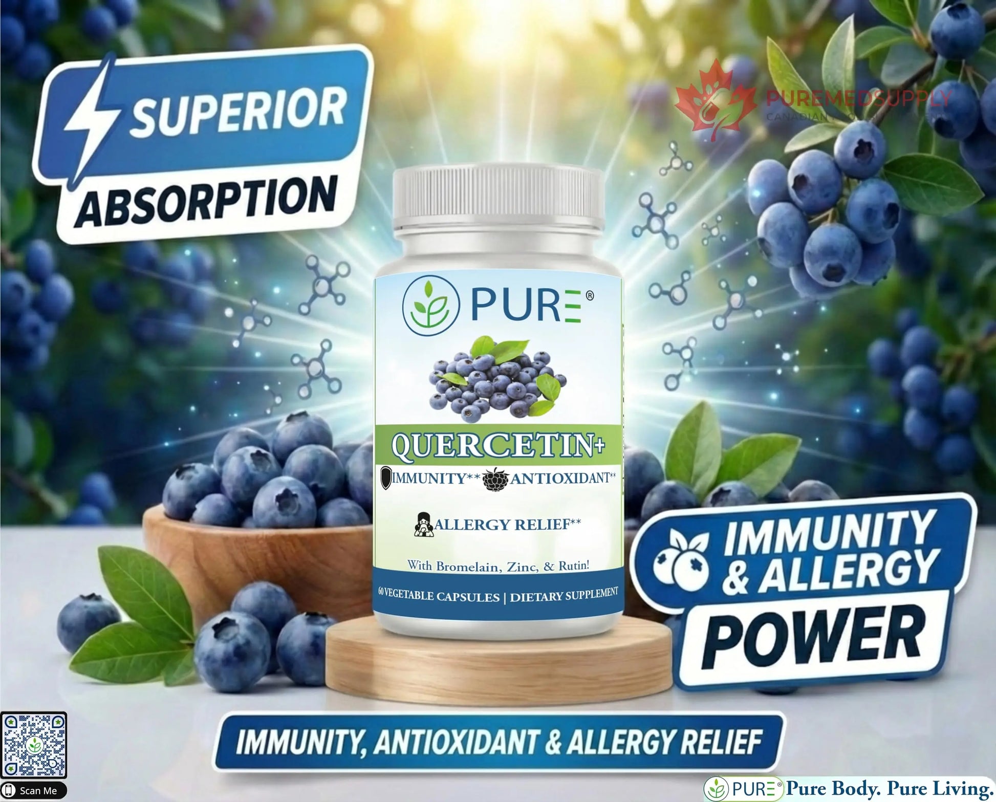 PURE® Quercetin+ with Zinc, Bromelain, Rutin Immune Shield - 60 Capsules - High Bioavailability Antioxidant Complex for Respiratory Health & Viral Defense - Made in USA PURE buy supplements canada