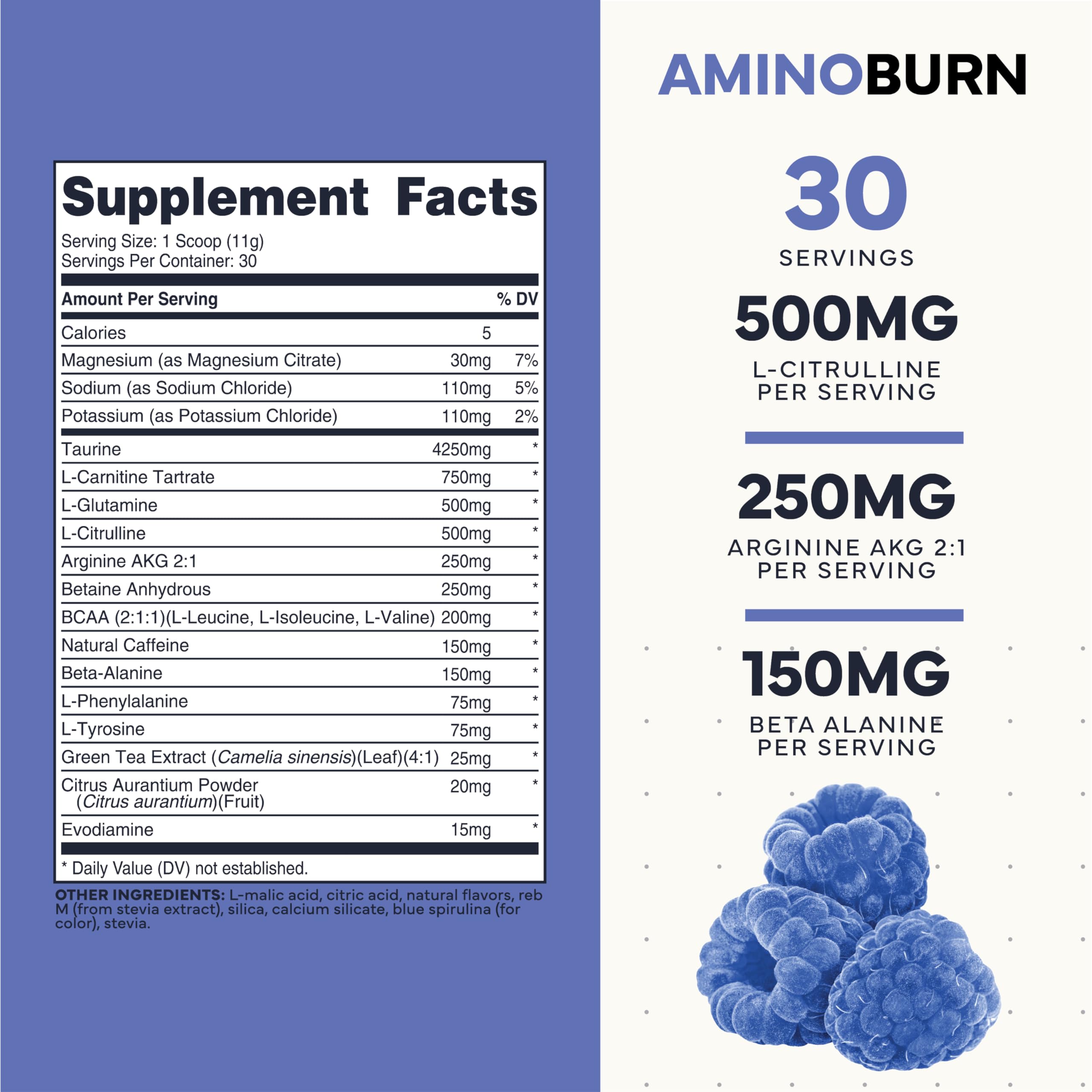 Type Zero Amino Burn - Vegan BCAA + Clean Pre Workout Powder with Arginine AKG, L-Citrulline & Beta Alanine - Amino Acid Clean Energy, Endurance & Hydration Supplement - Blue Raspberry, 30 Servings Type Zero buy supplements canada